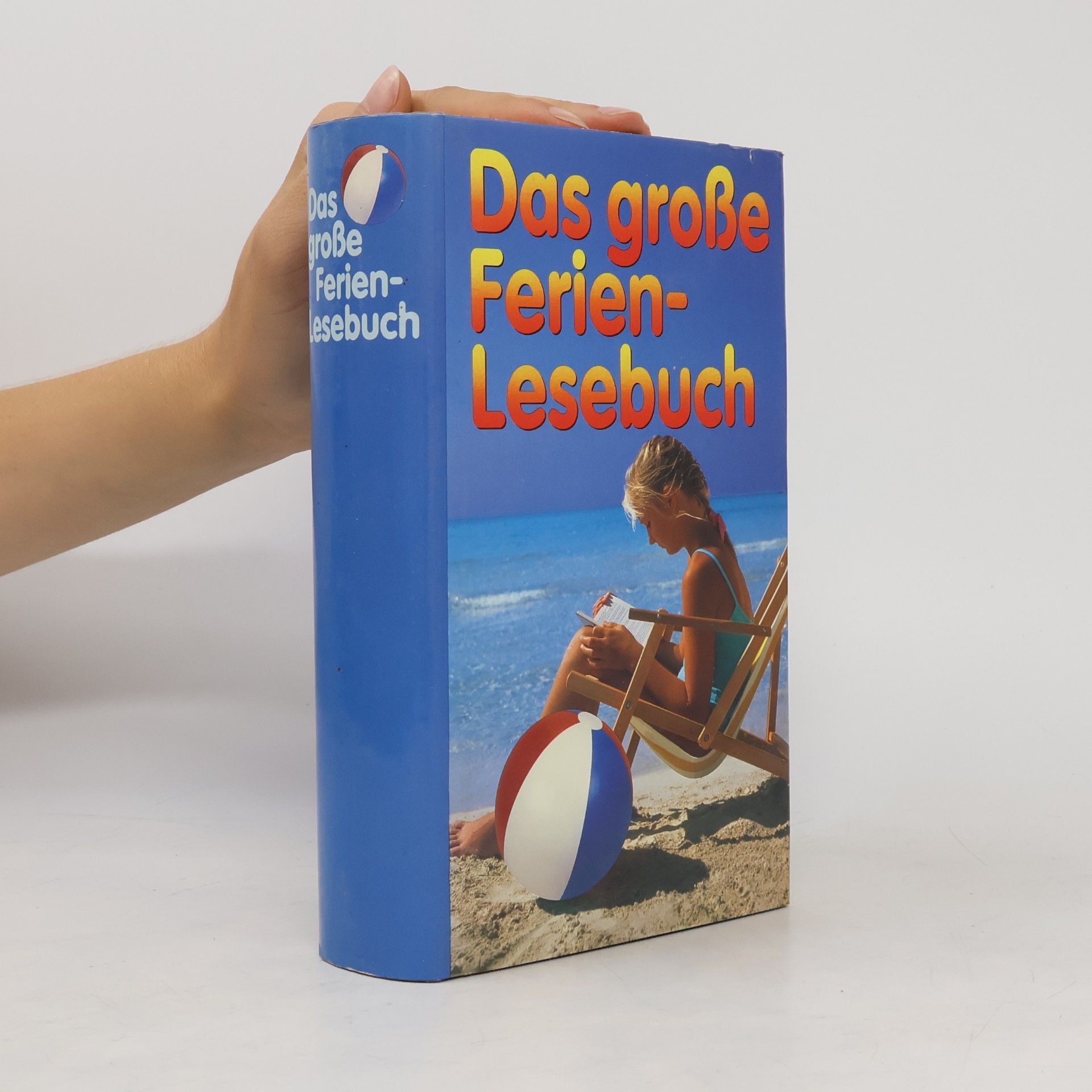 Autores varios Das große Ferien-Lesebuch