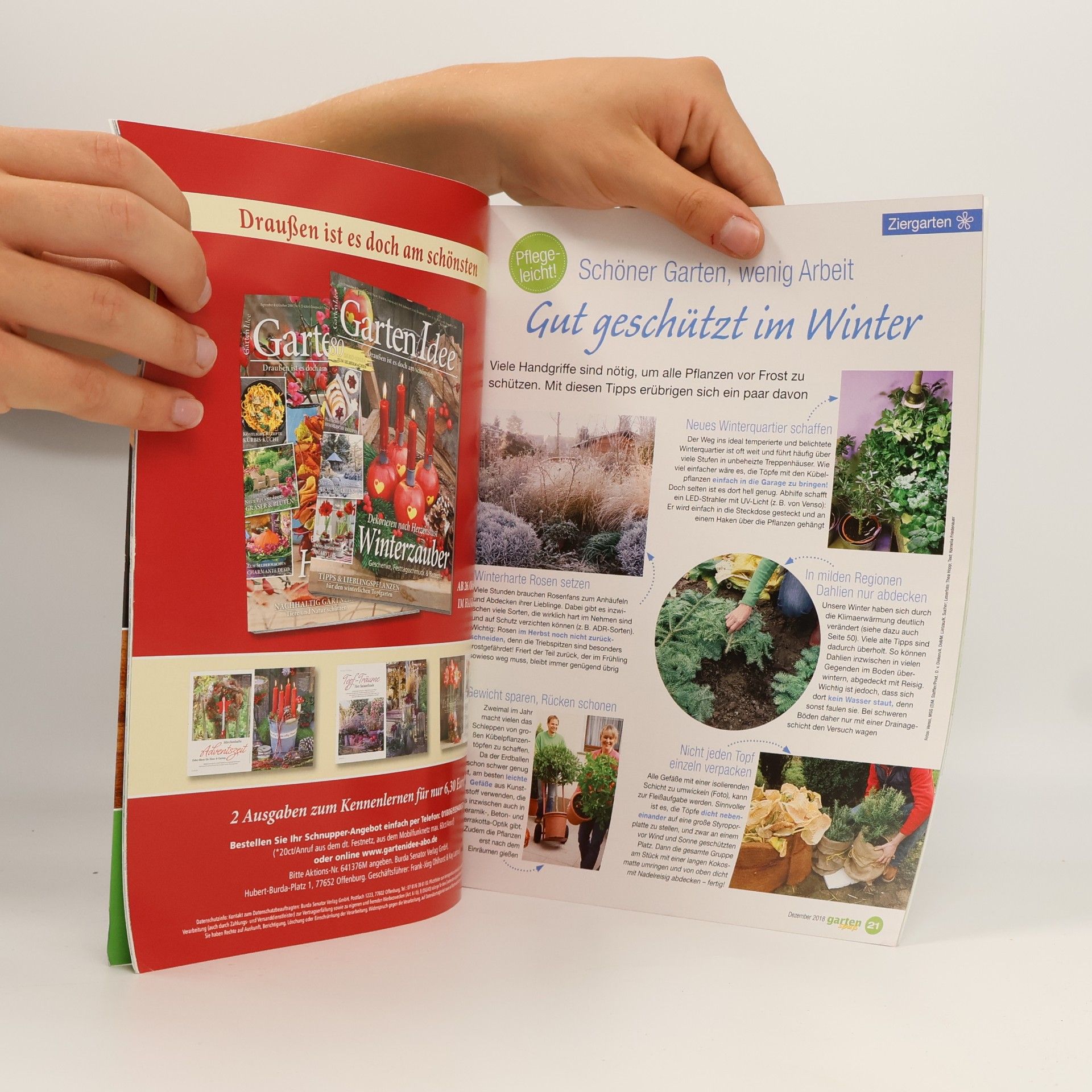 kolektiv Gartenspaß 12/2018