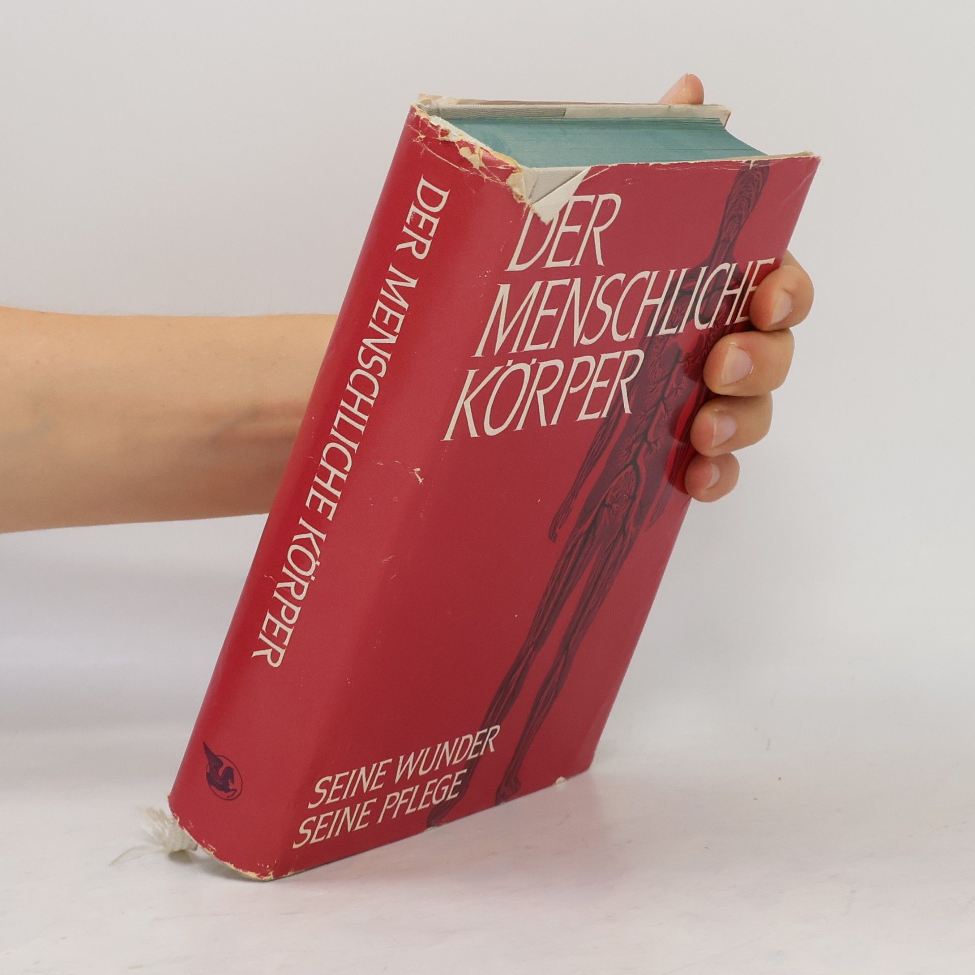 Kolektív autorov Der menschliche Körper. Seine Wunder, seine Pflege