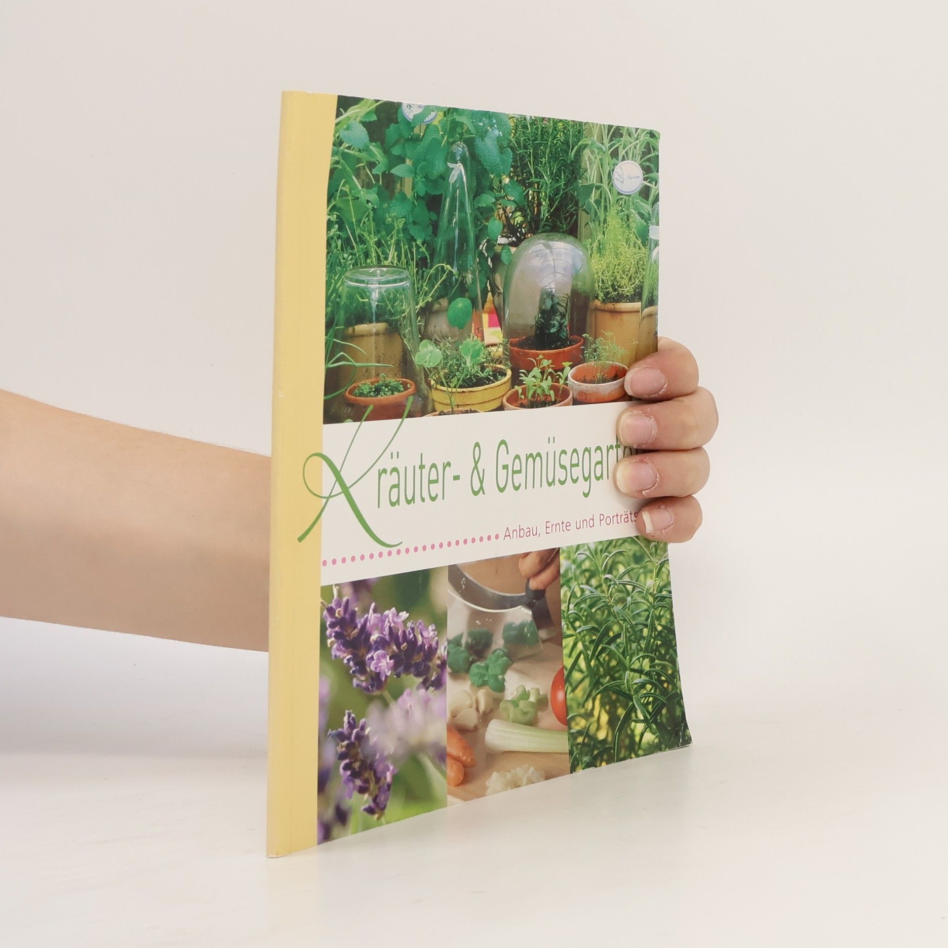 Kolektiv autorů Kräuter & Gemüsegarten