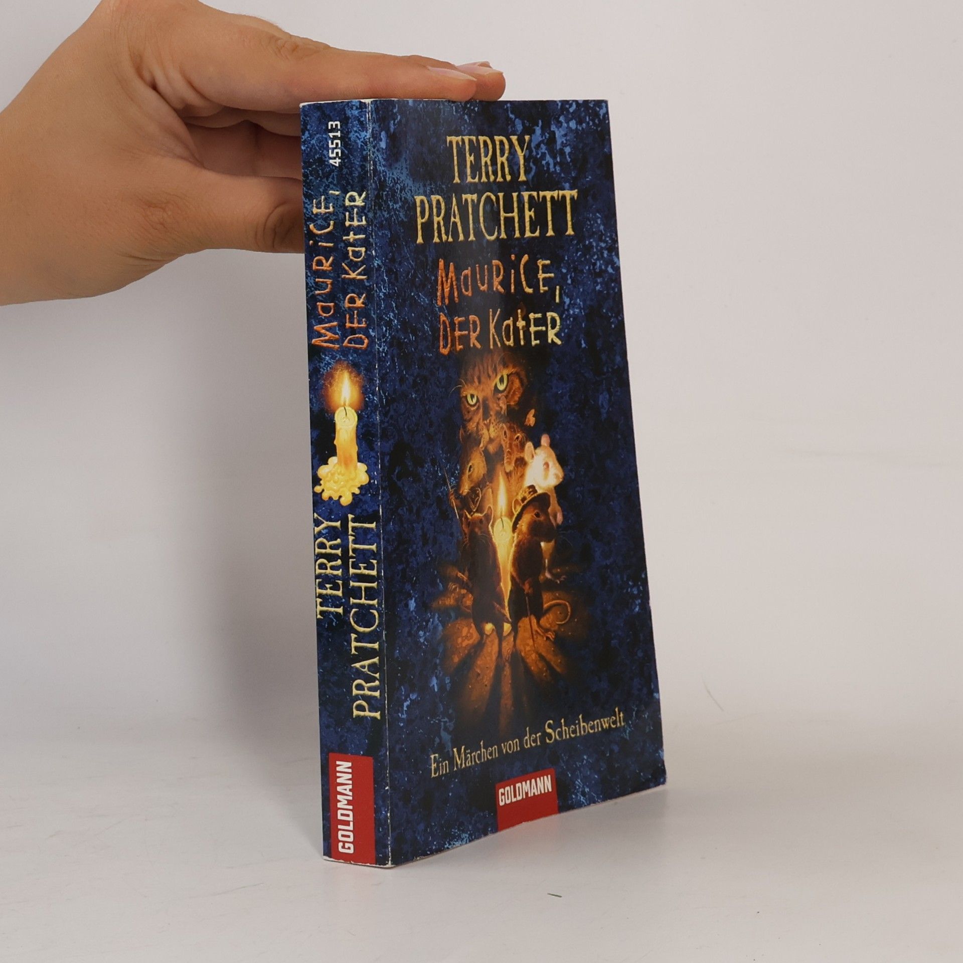 Terry Pratchett Maurice, der Kater