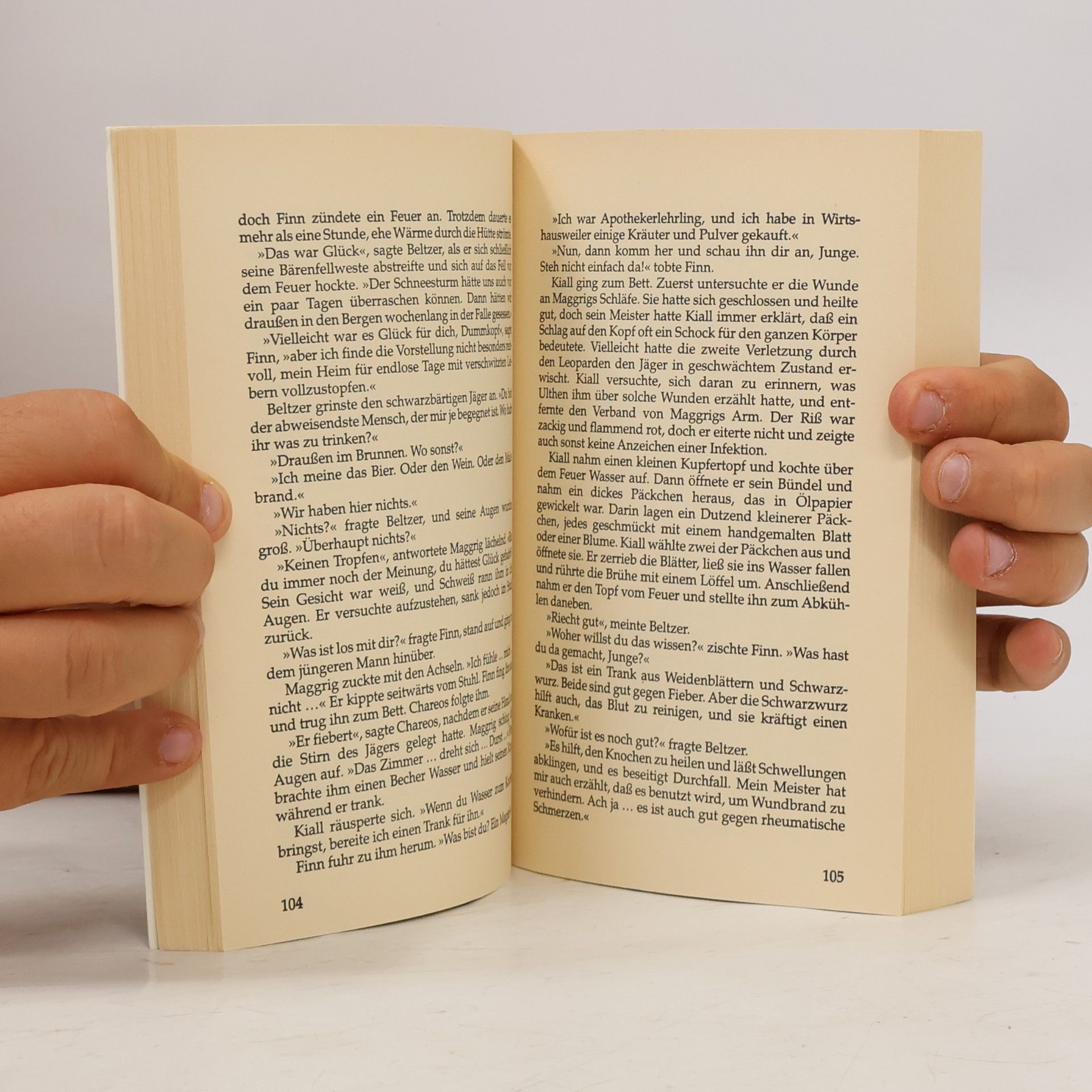 David Gemmell Die Drenai-Saga. Der Bronzefürst