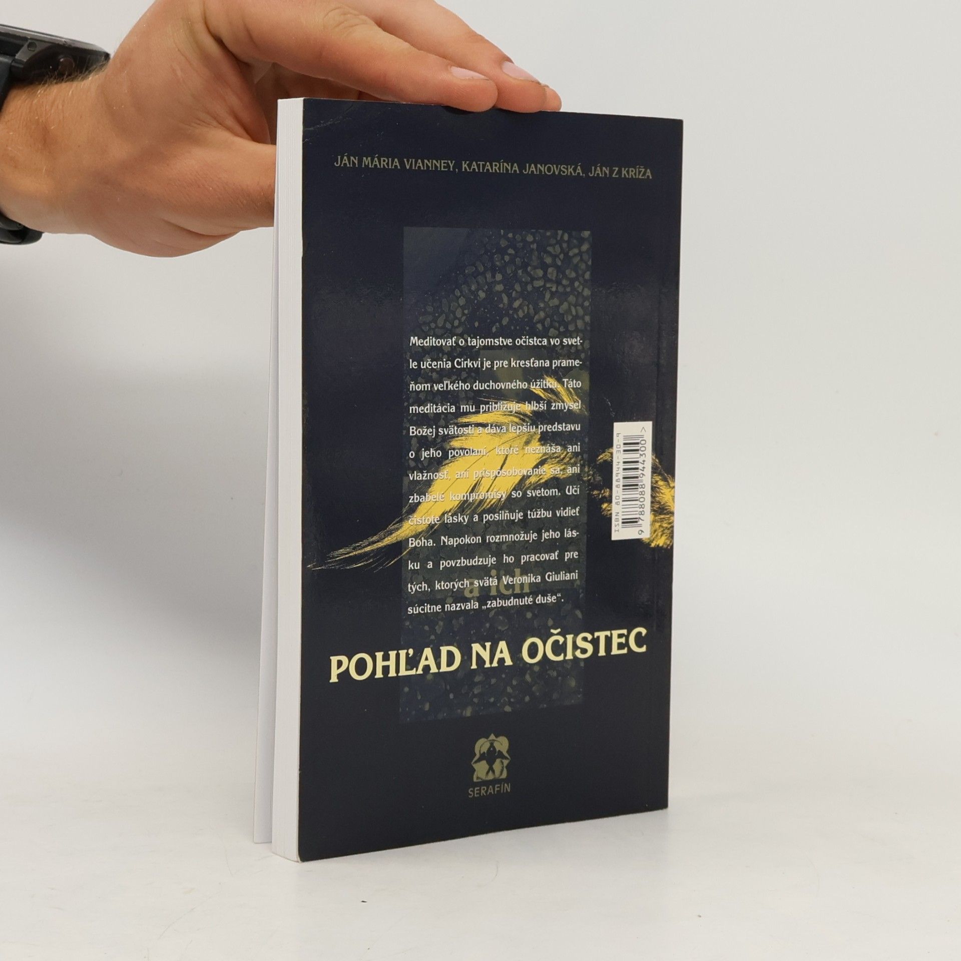 Jean-Marie Vianney Pohľad na očistec