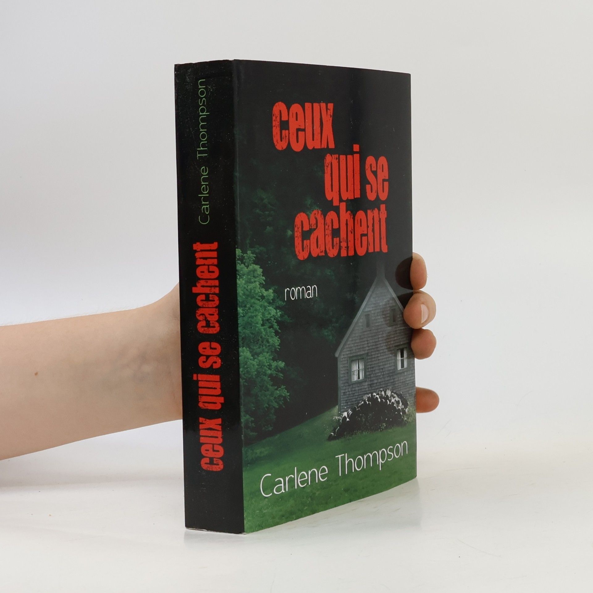 Carlene Thompson Ceux qui se cachent