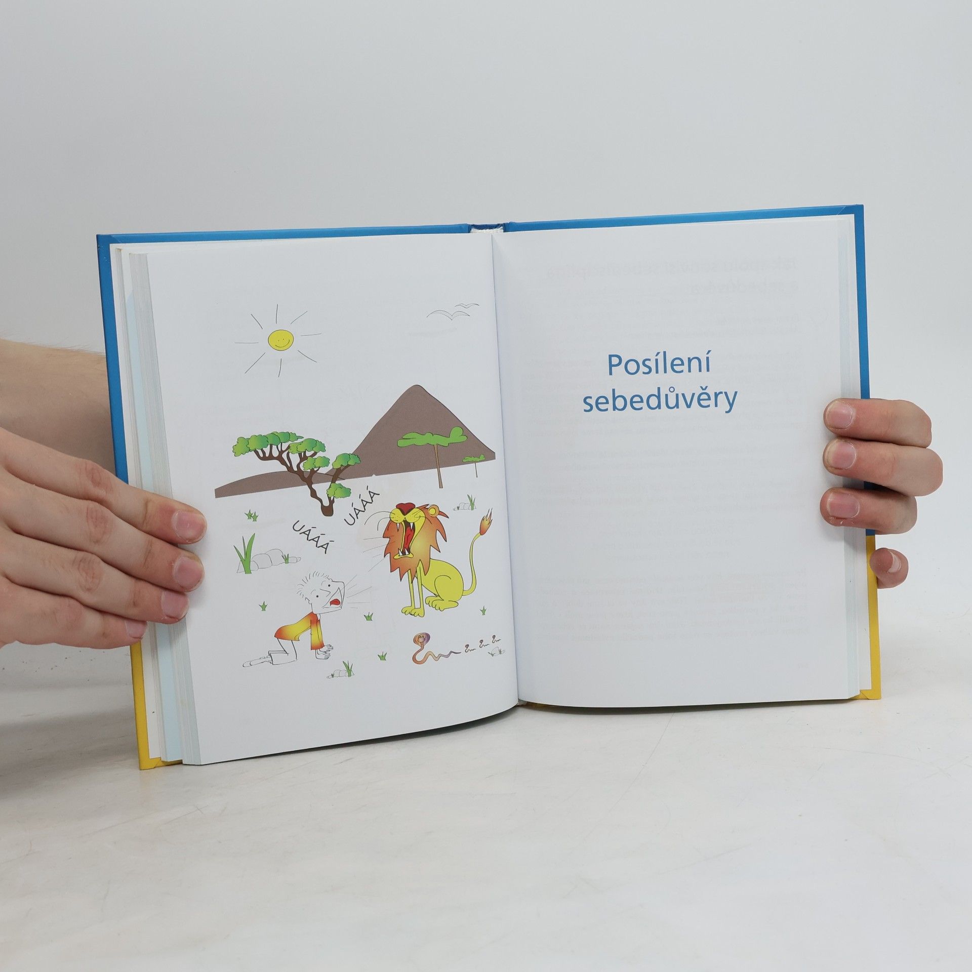 Pierre Franckh 6minutový kouč : Najdi skutečnou sebedůvěru!