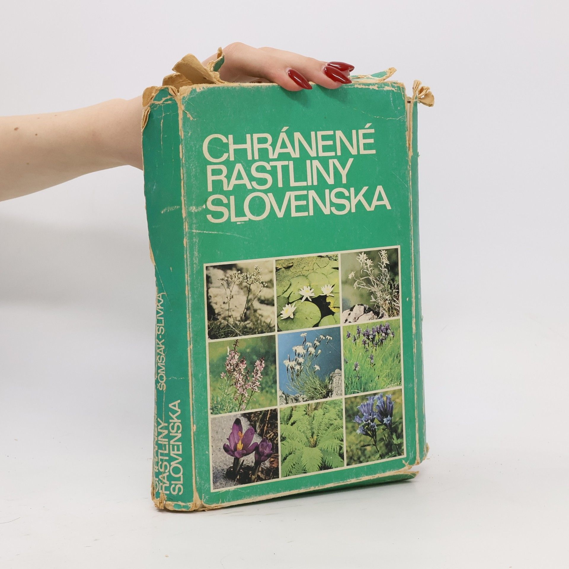 Dušan Slivka Chránené rastliny Slovenska