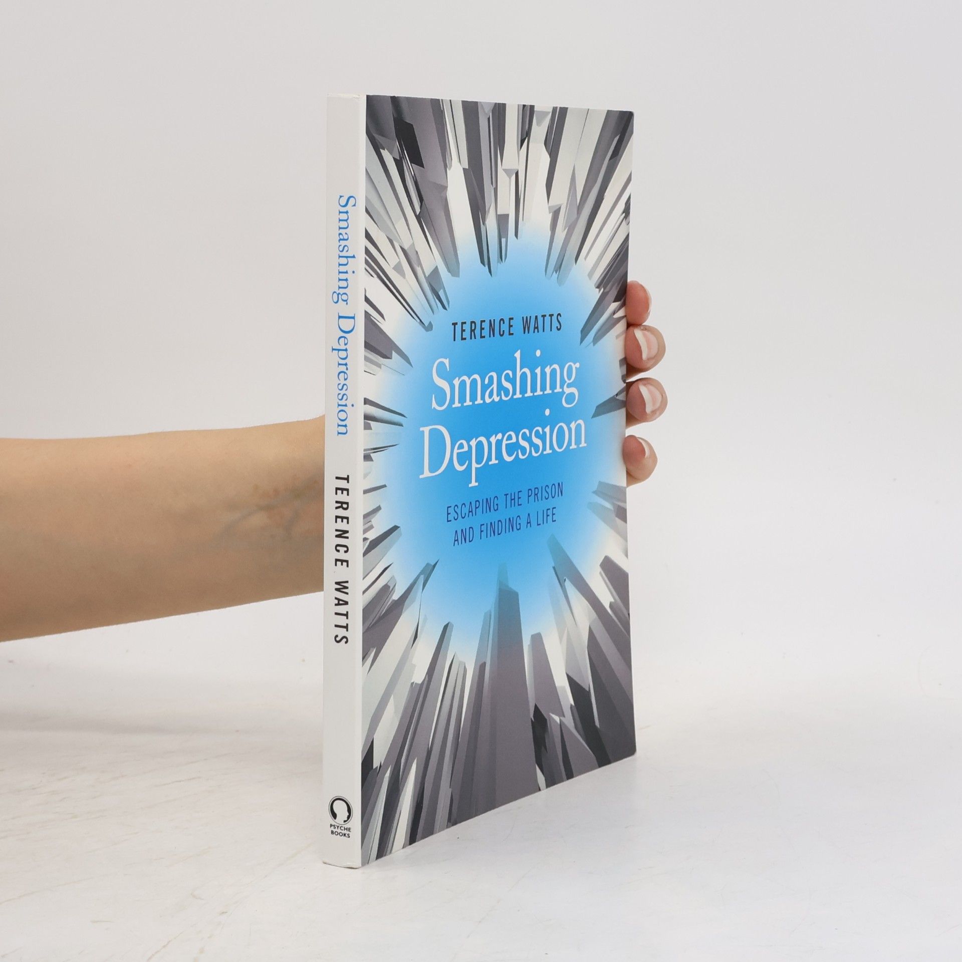 Terence Watts Smashing Depression