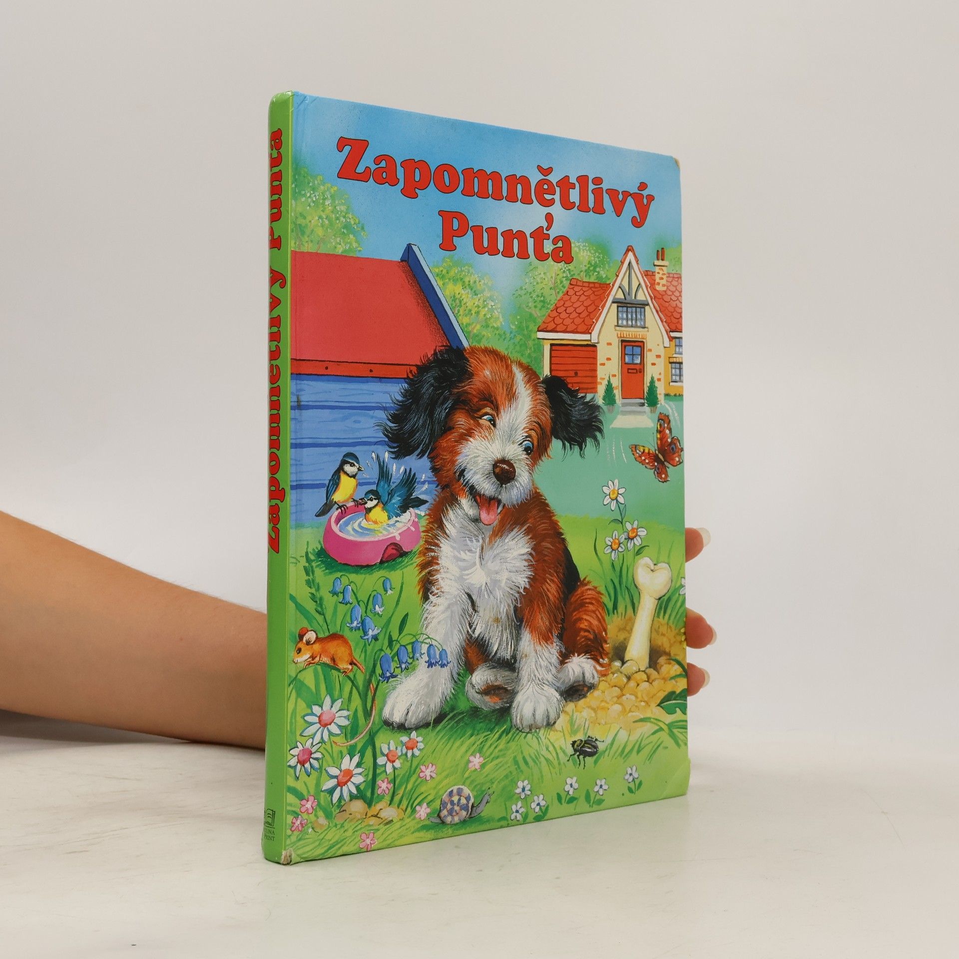 Zapomnětlivý Punťa