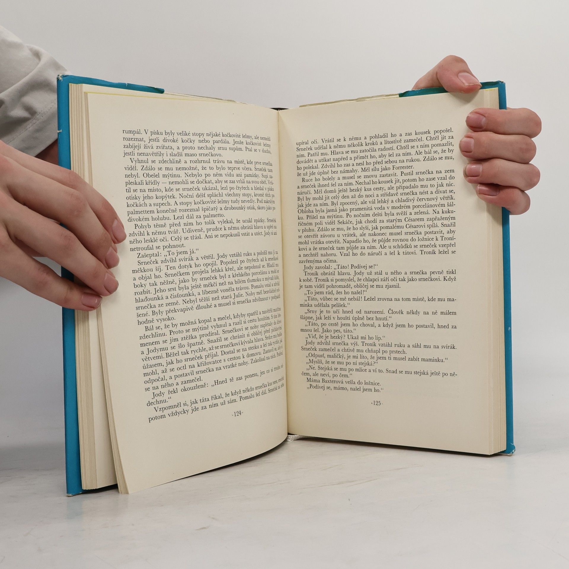 Marjorie Kinnan Rawlings Dítě divočiny