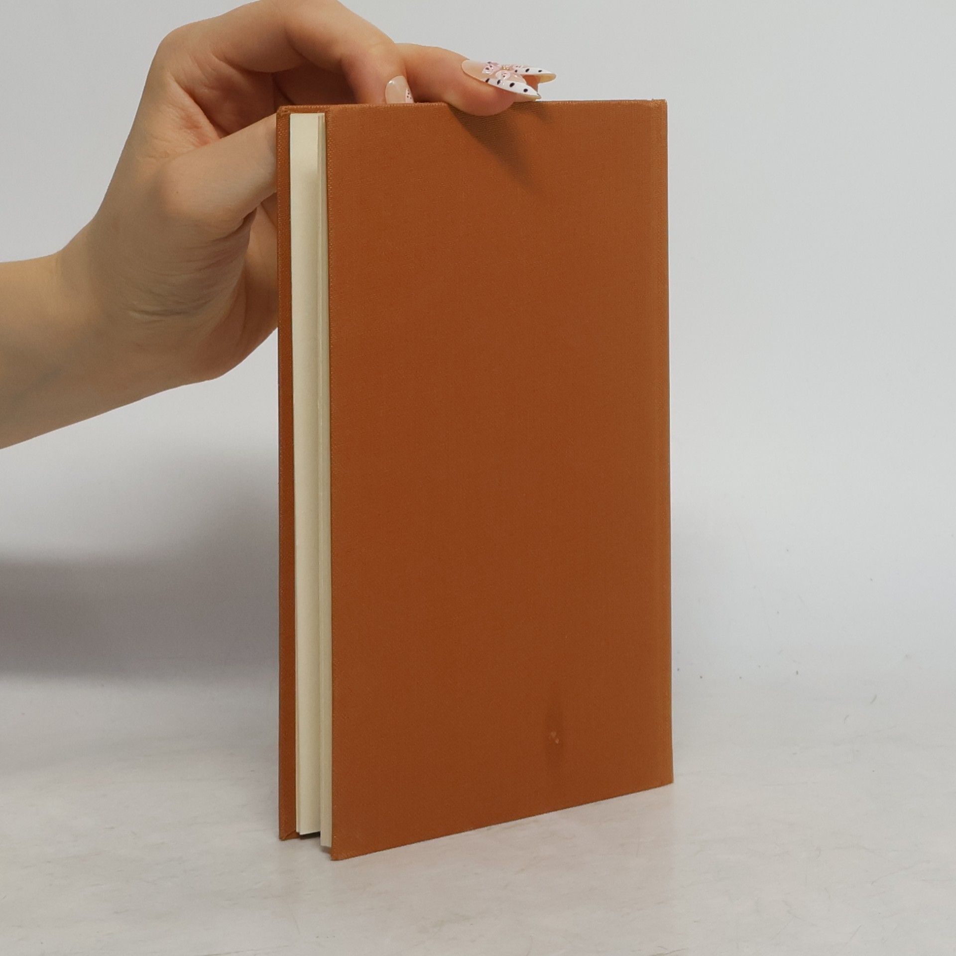 Guy de Maupassant Hochzeitsreise und andere Novellen