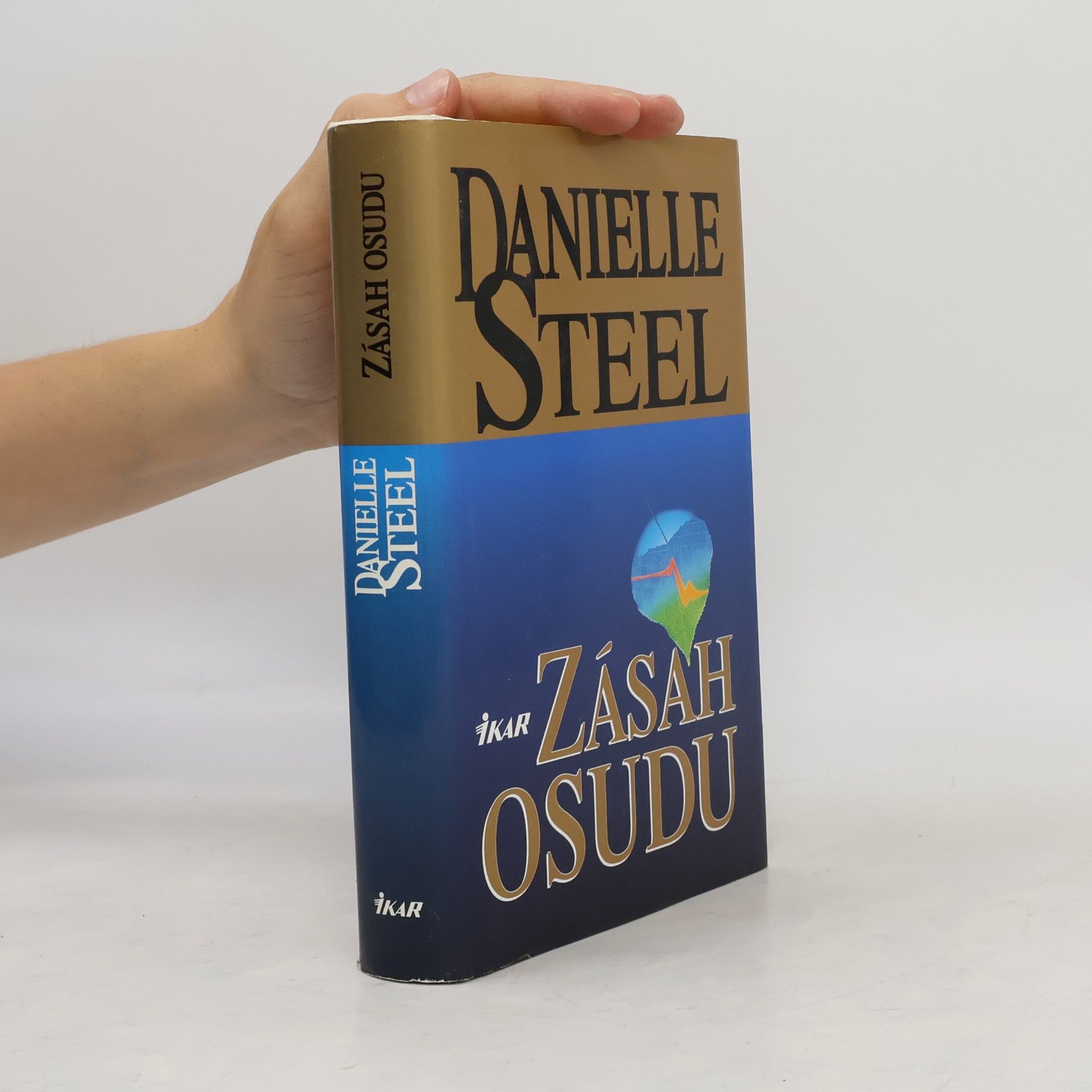 Danielle Steel Zásah osudu