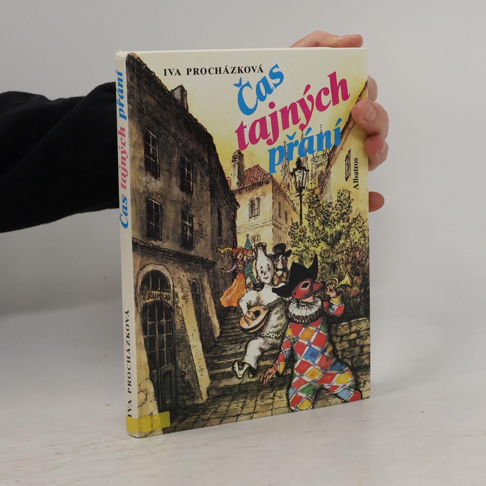 Iva Procházková Čas tajných přání