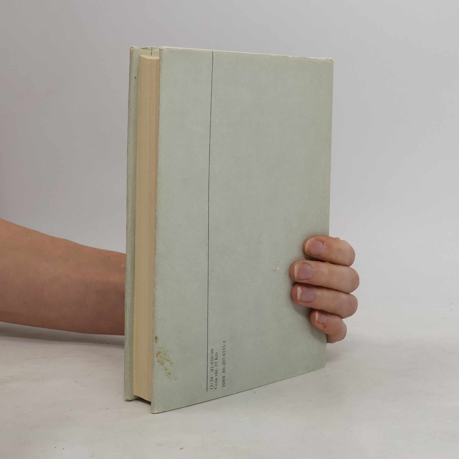 John Irving Svět podle Garpa