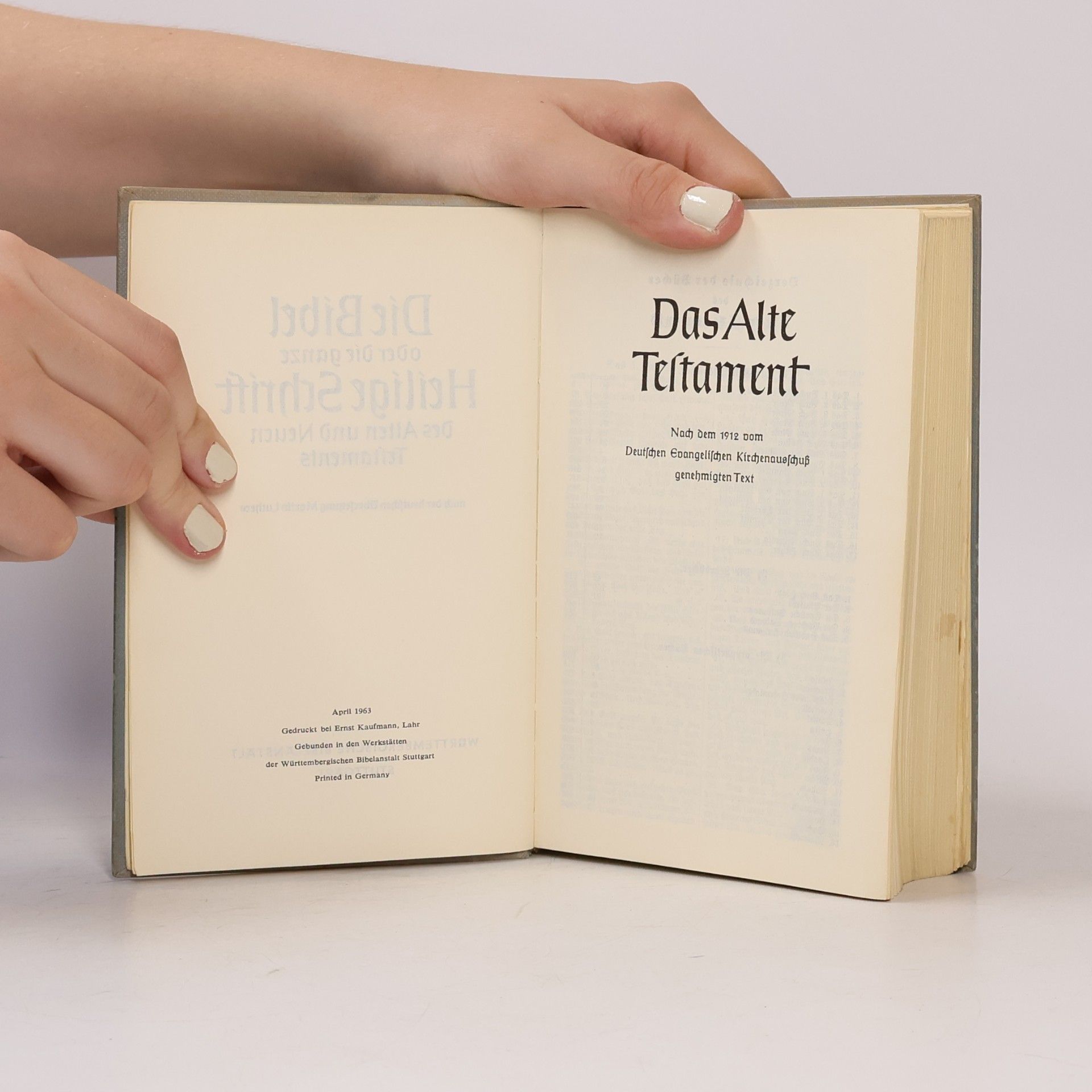 Autorenkollektiv Die Heilige Schrift