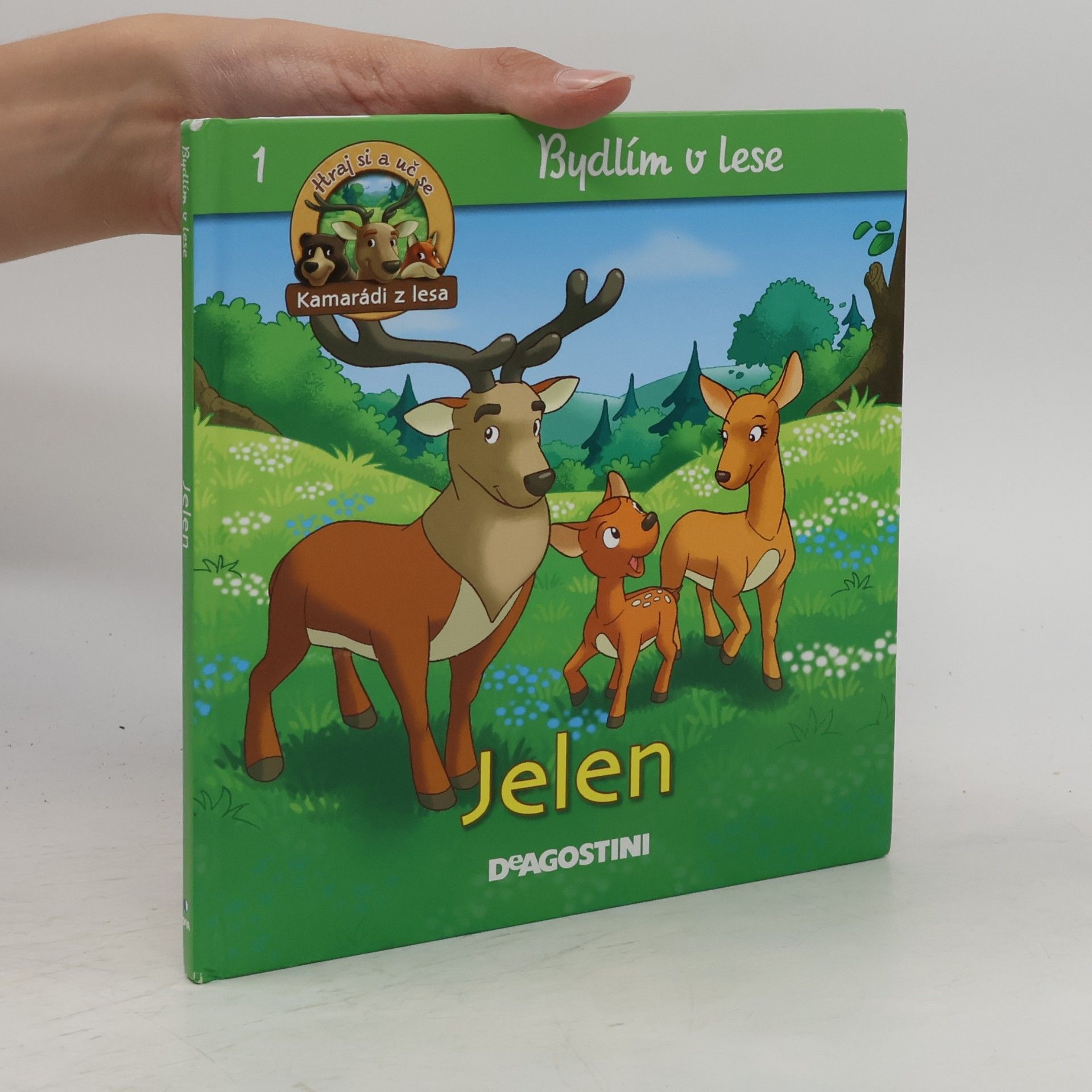 Autorenkollektiv Bydlím v lese 1. Jelen