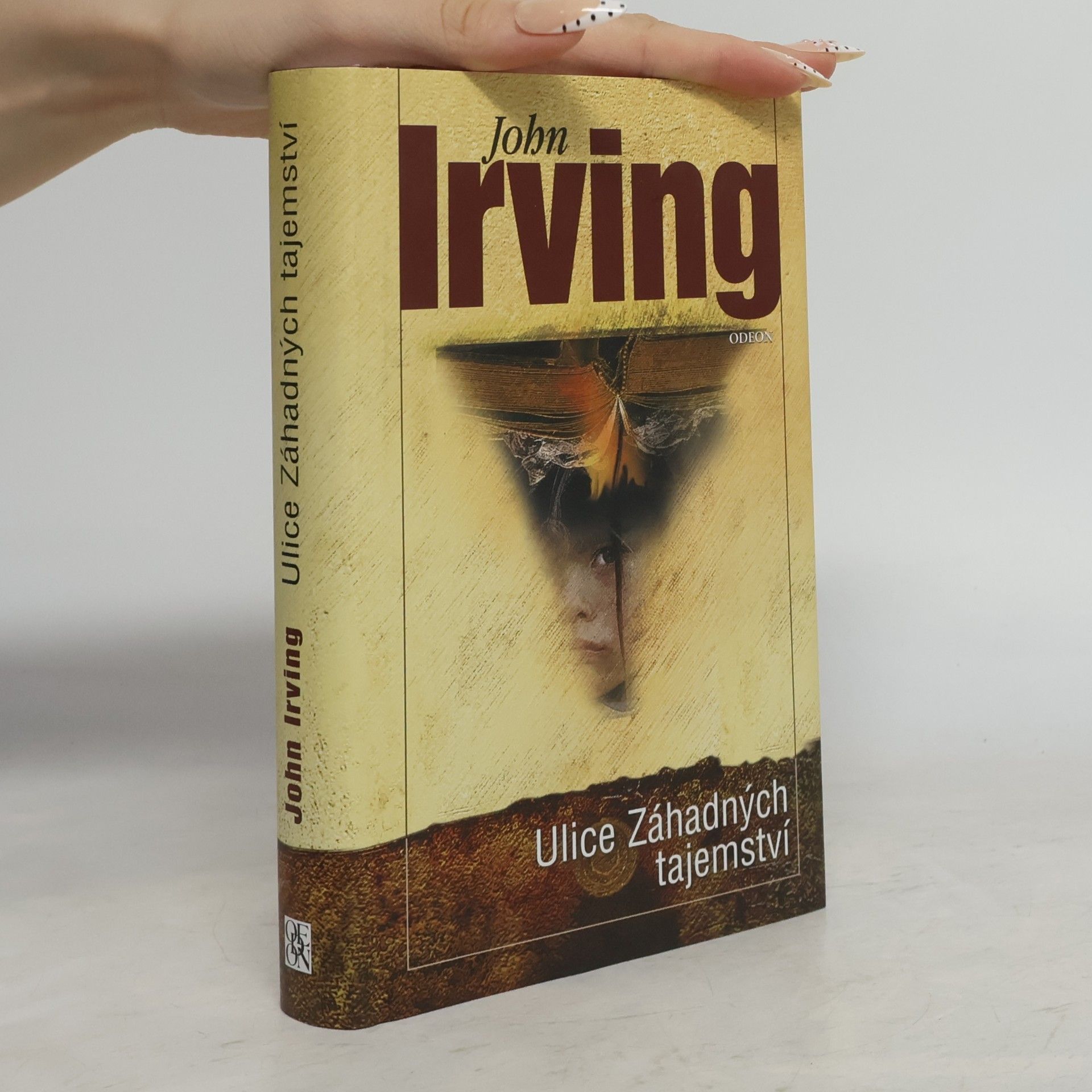 John Irving Ulice Záhadných tajemství
