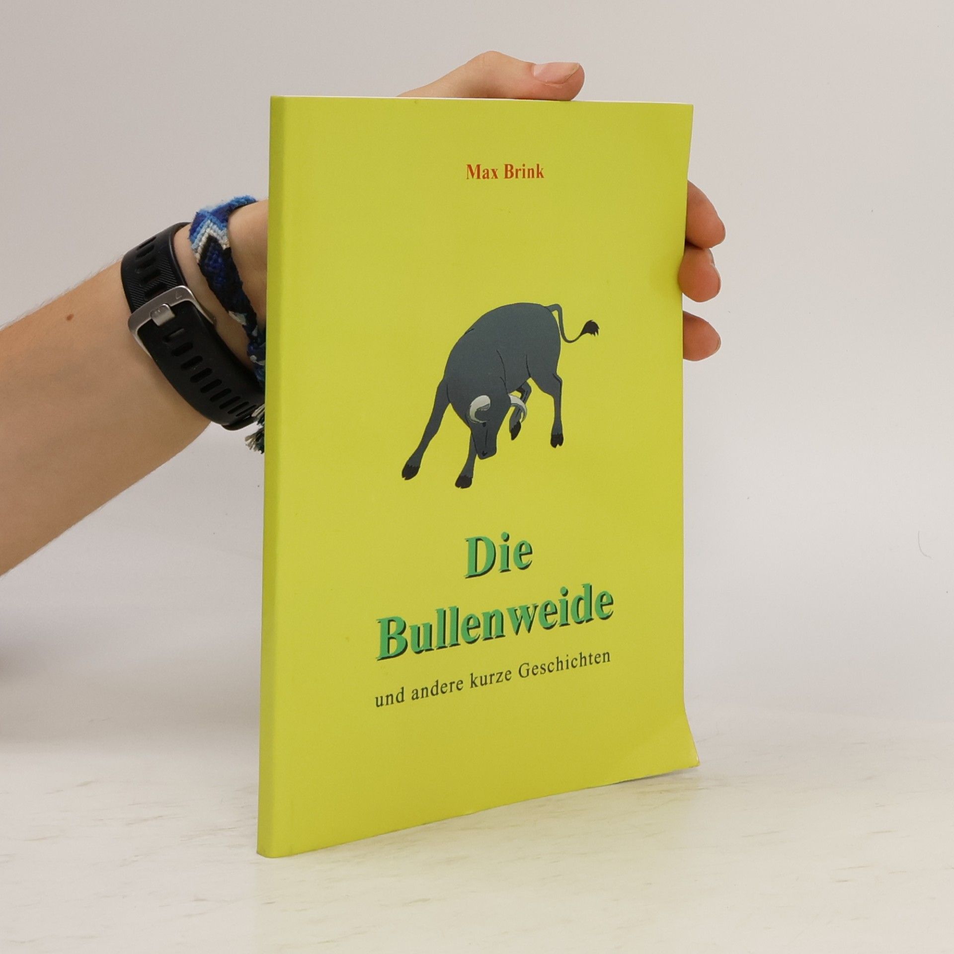Max Brinkmann Die Bullenweide