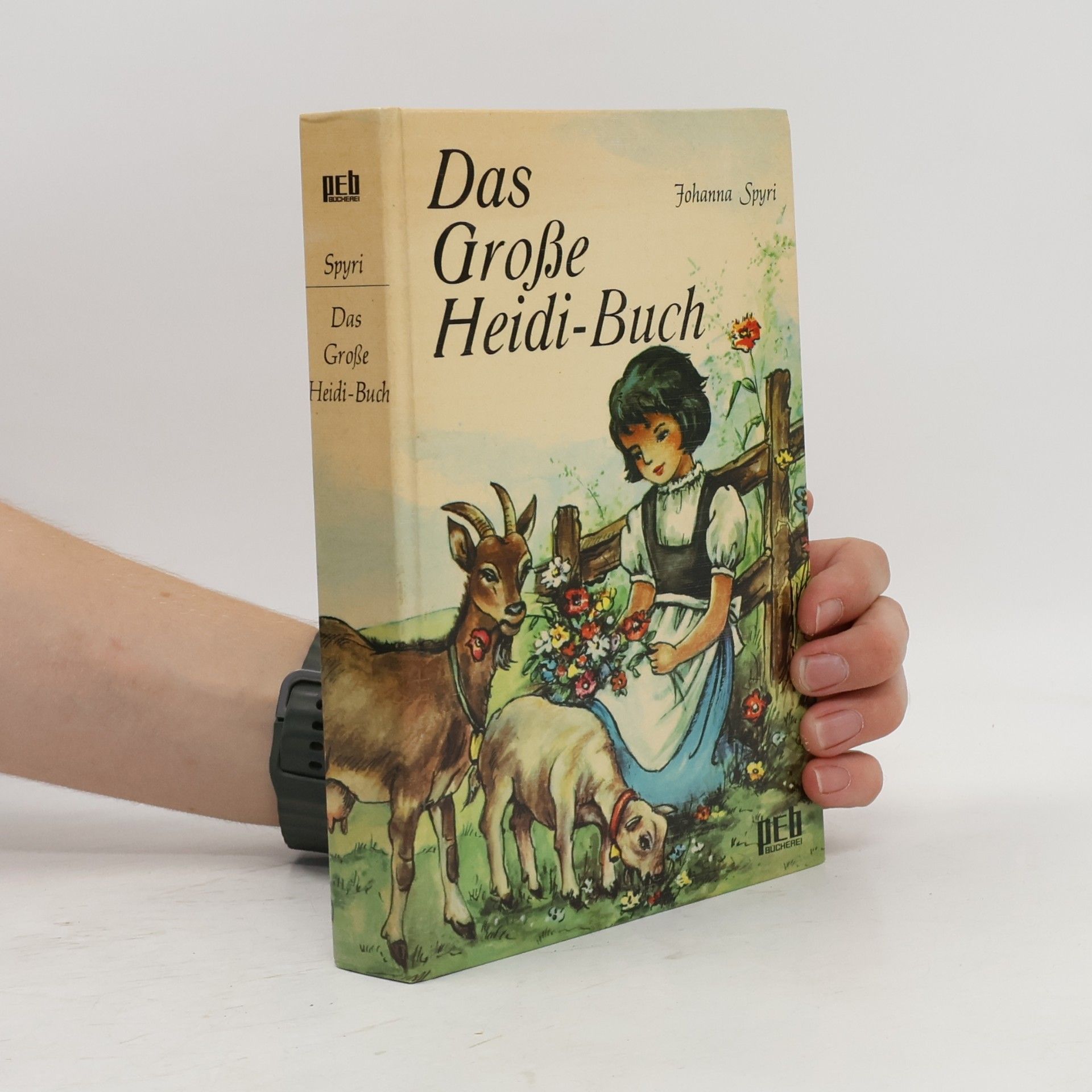 Johanna Spyri Das Grosse Heidi-Buch