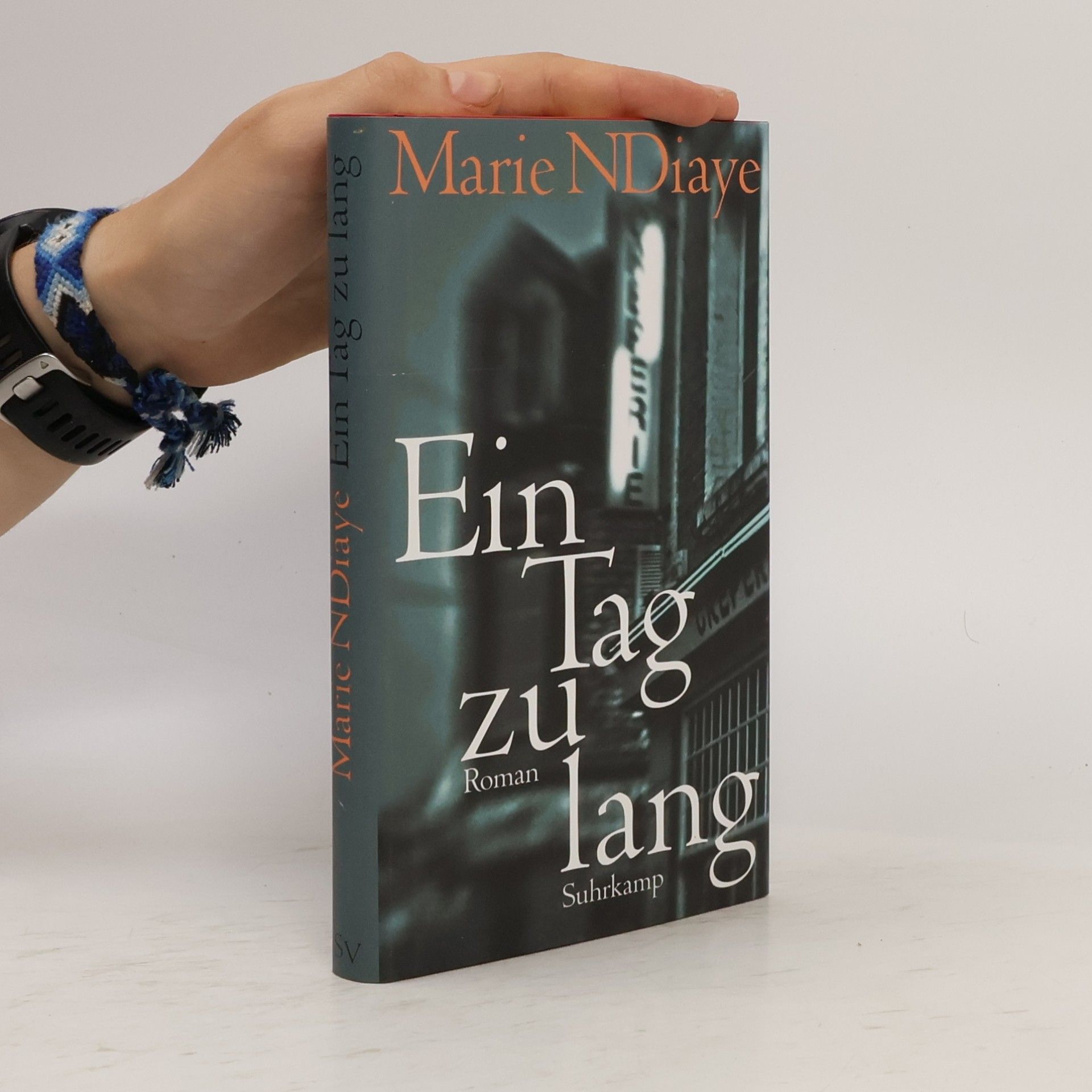 Marie Ndiaye Ein Tag zu lang