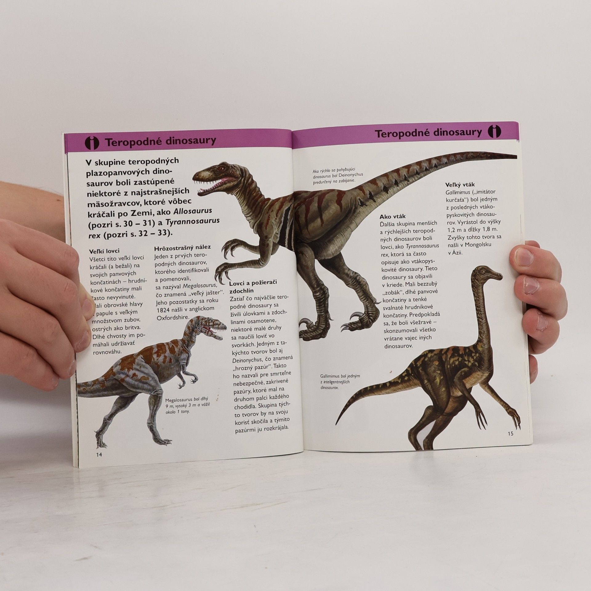 Autorenkollektiv Dinosaury