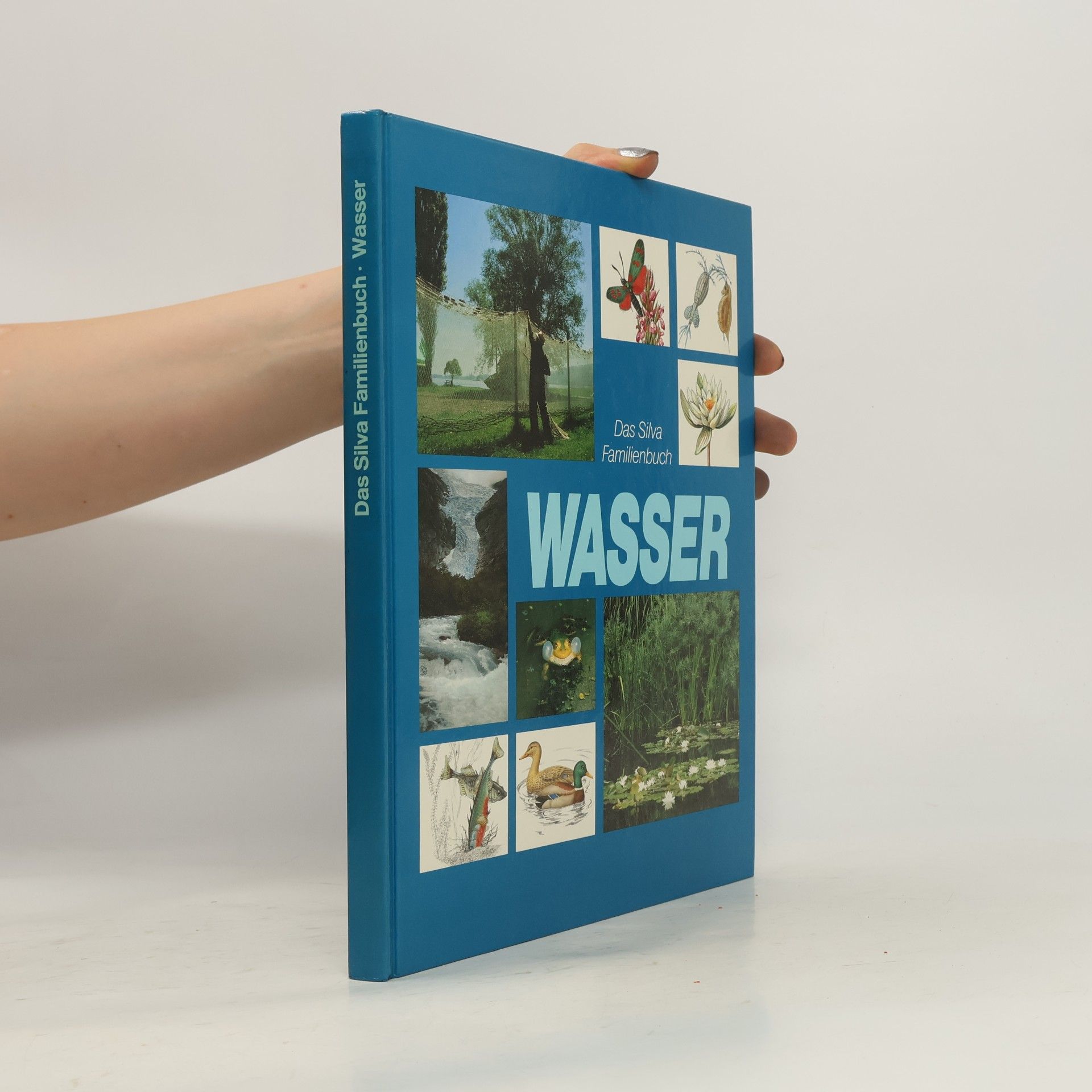 Autorenkollektiv Das Silva Familienbuch. Wasser