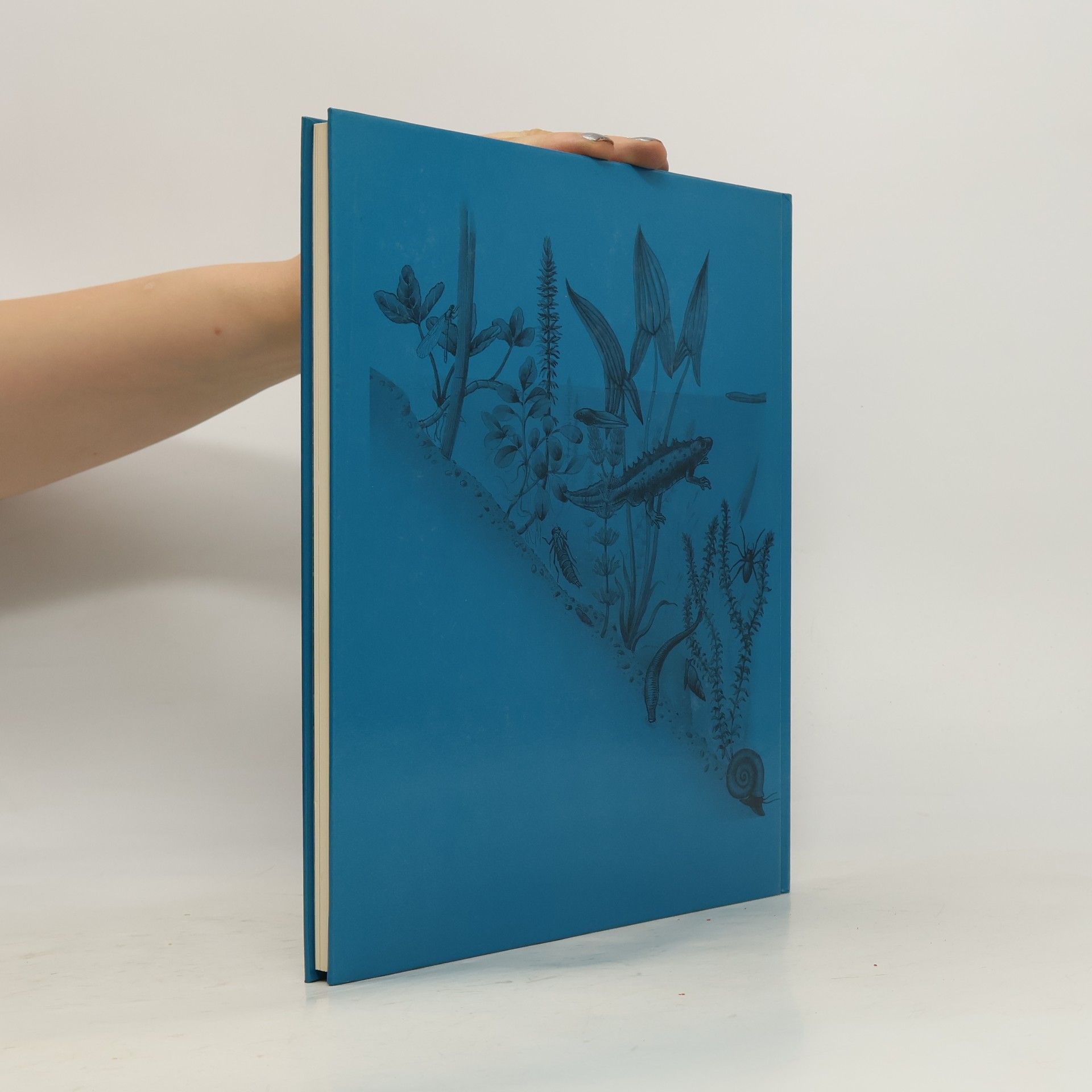 Auteurscollectief Das Silva Familienbuch. Wasser