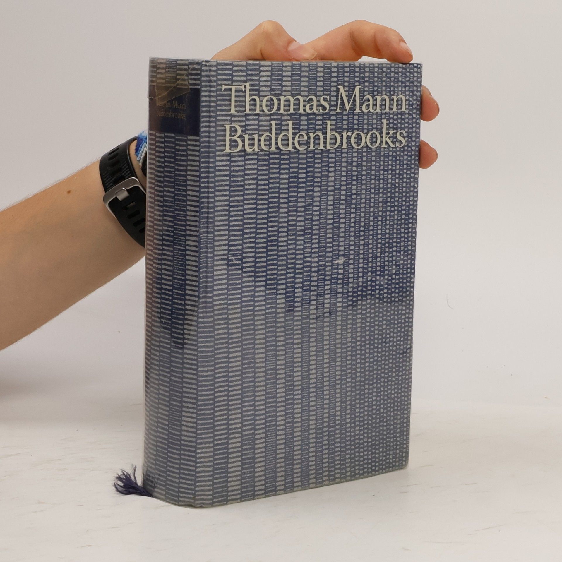 Thomas Mann Buddenbrooks