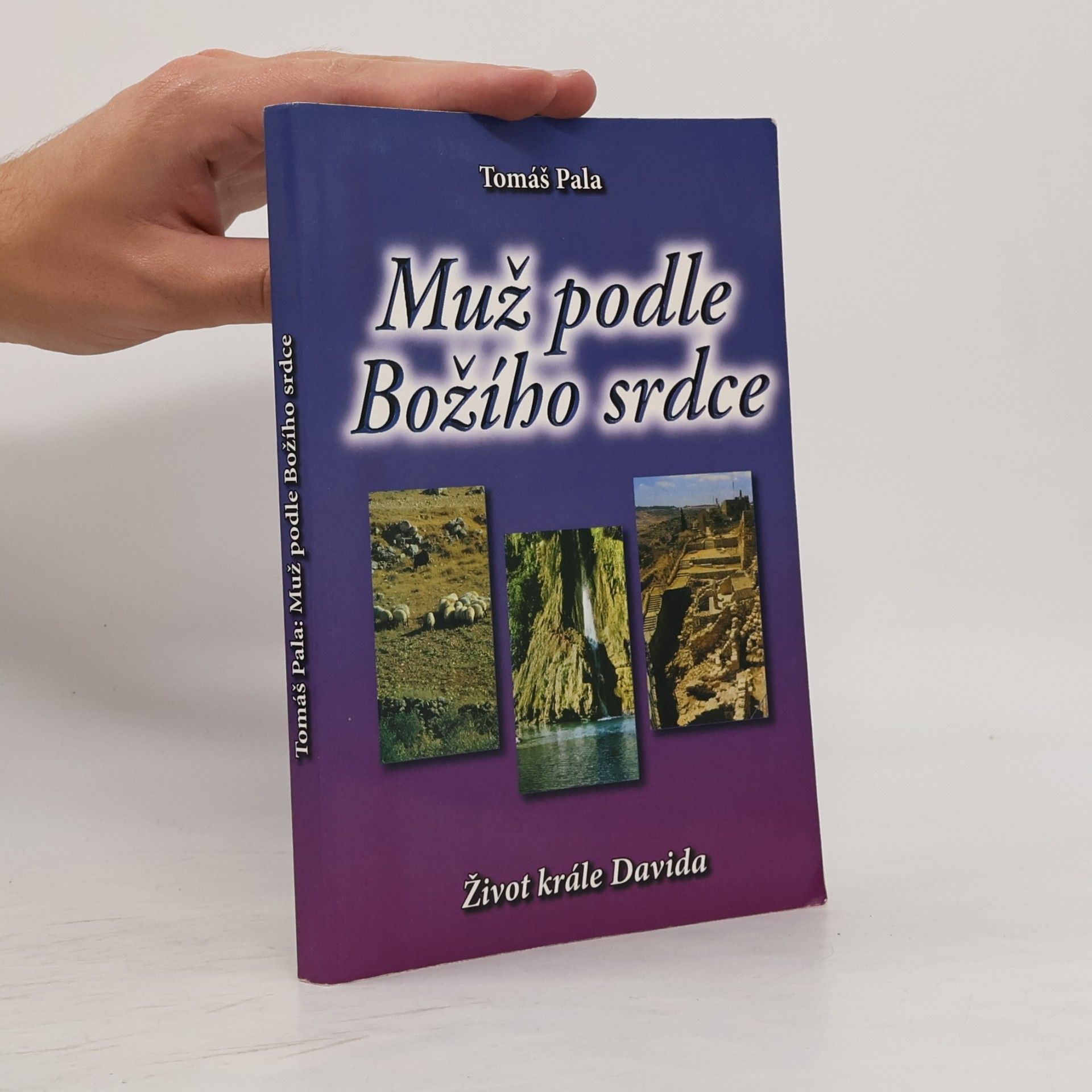 Tomáš Pala Muž podle Božího srdce
