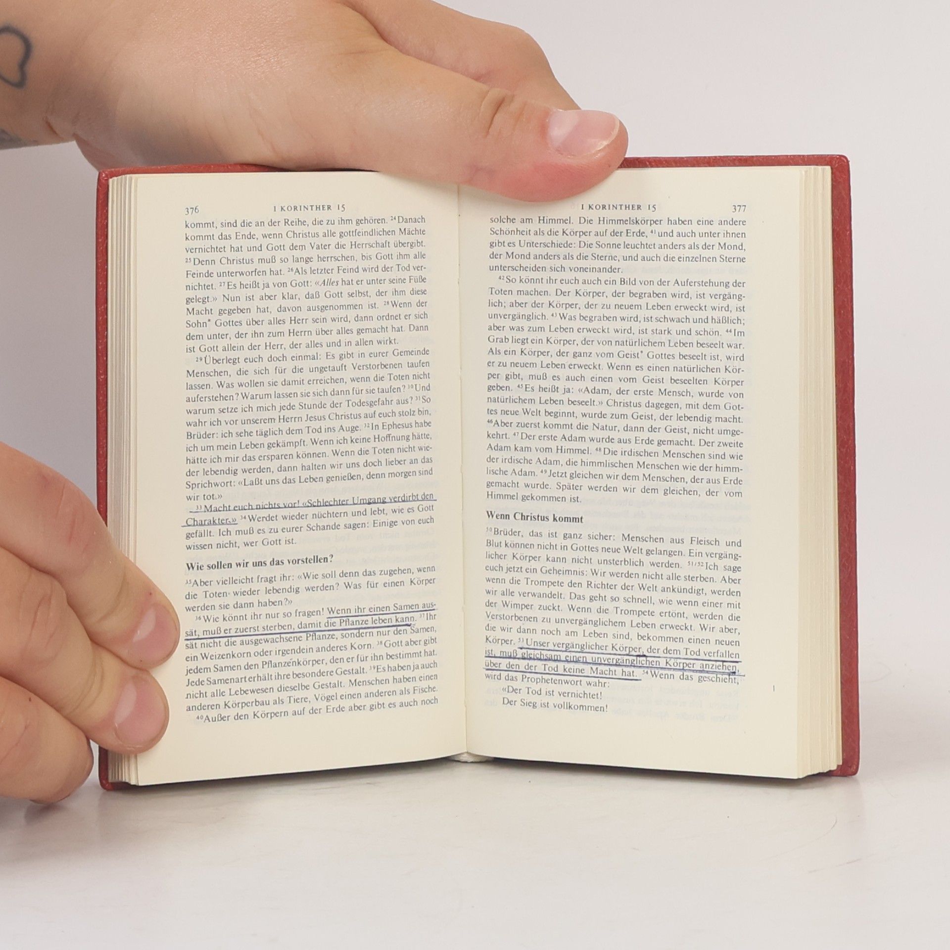 Various authors Die Gute Nachricht