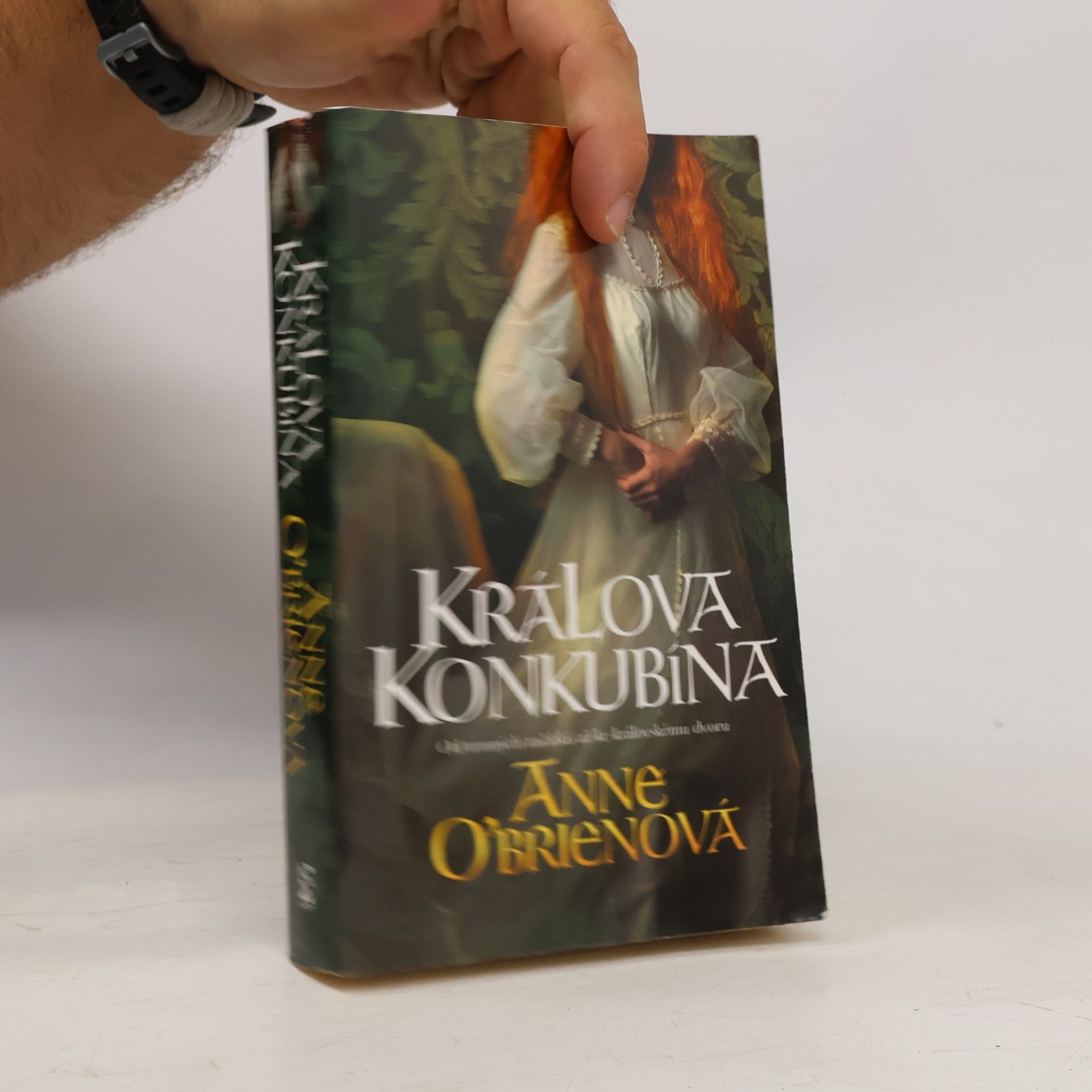 Anne O. Brien Králova konkubína