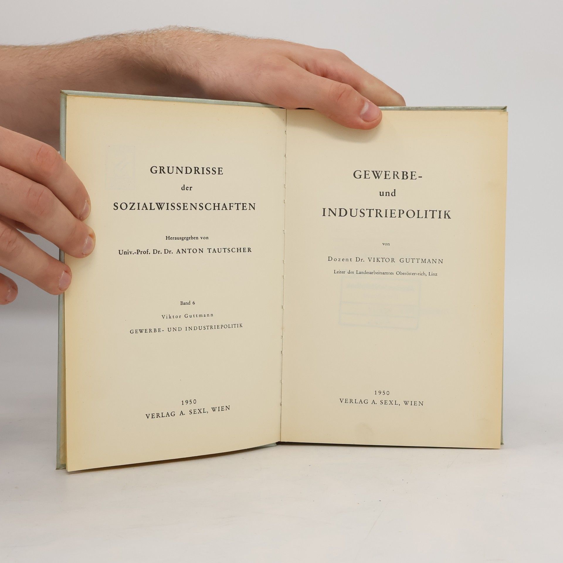 Viktor Guttmann Gewerbe- und Industriepolitik