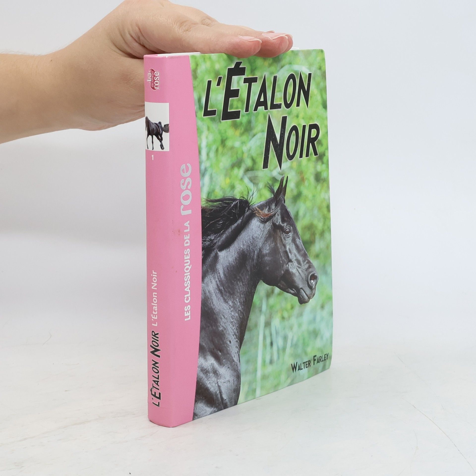 Walter Farley L'Étalon Noir 1. L'Étalon Noir