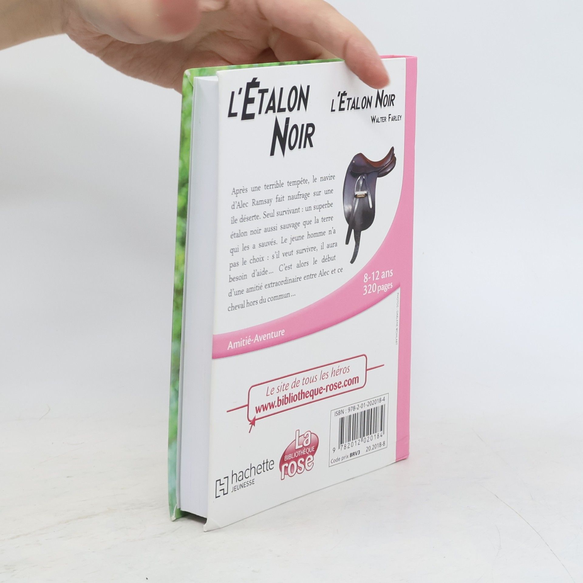 Walter Farley L'Étalon Noir 1. L'Étalon Noir