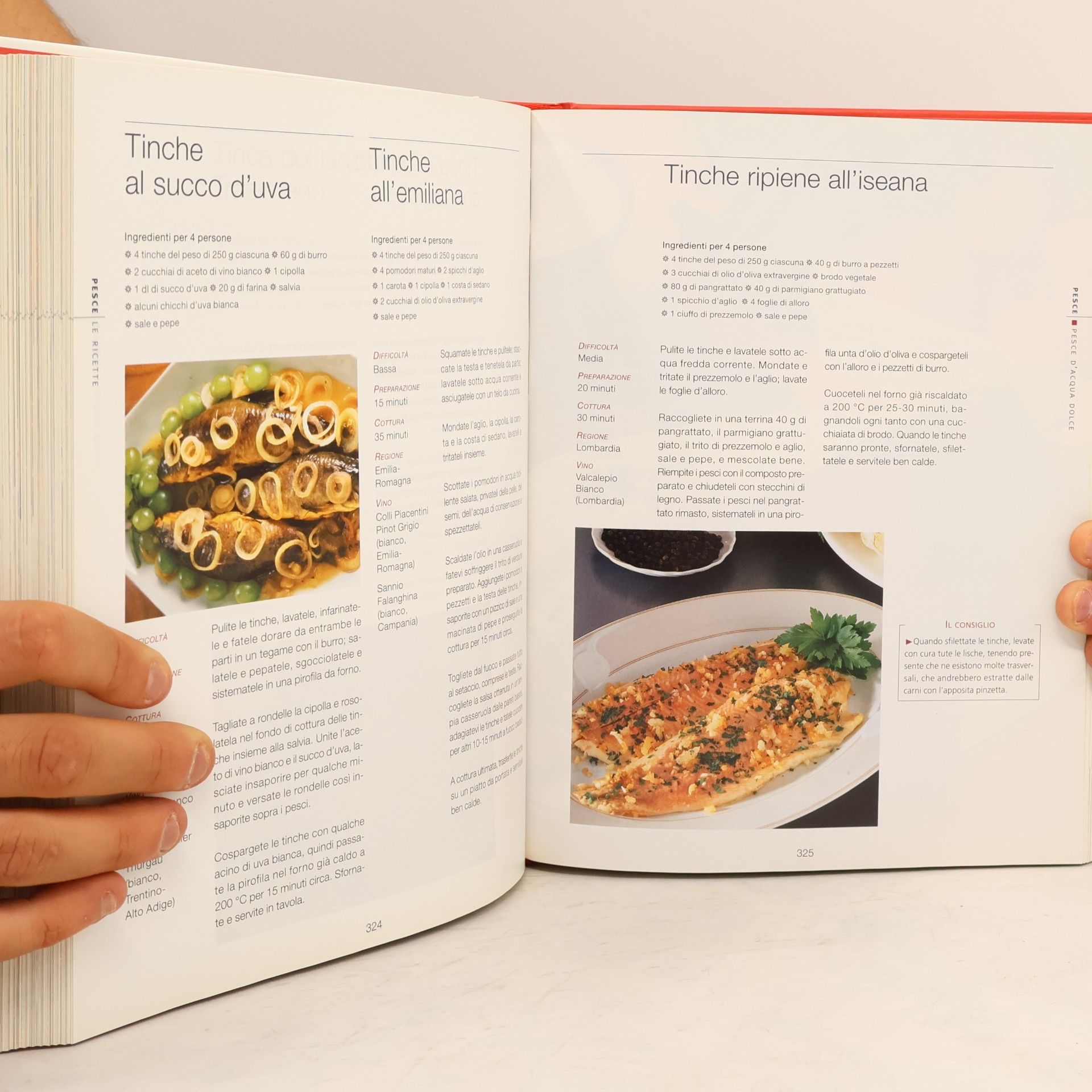 kolektiv L'Enciclopedia della cucina italiana 5. Pesce