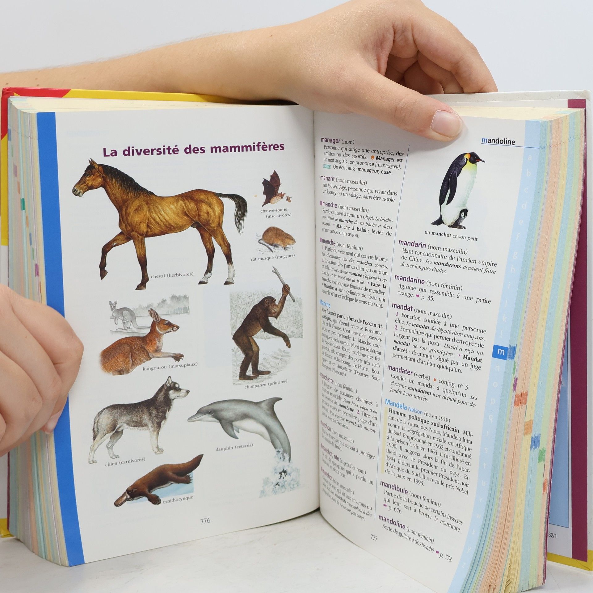 Dictionnaire Hachette Junior - Ce-CM - 8-11 ans