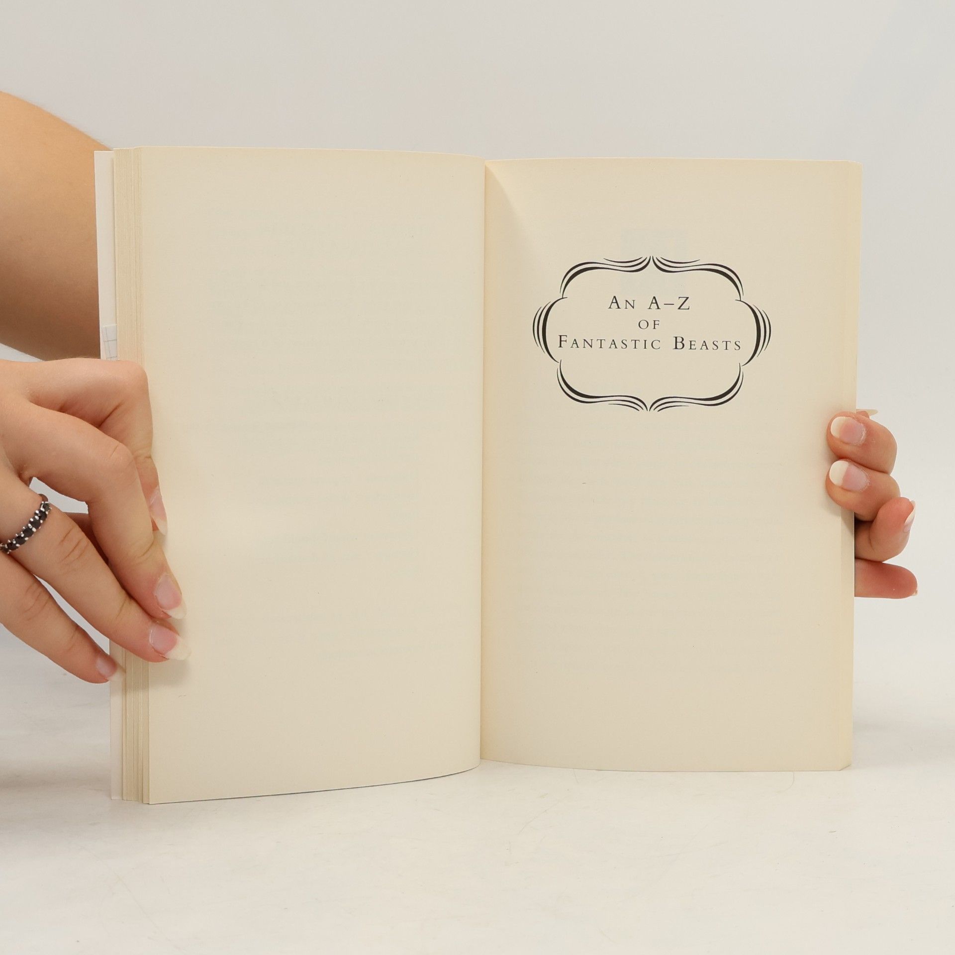 J. K. Rowling Fantastic beasts & where to find them : newt scamander