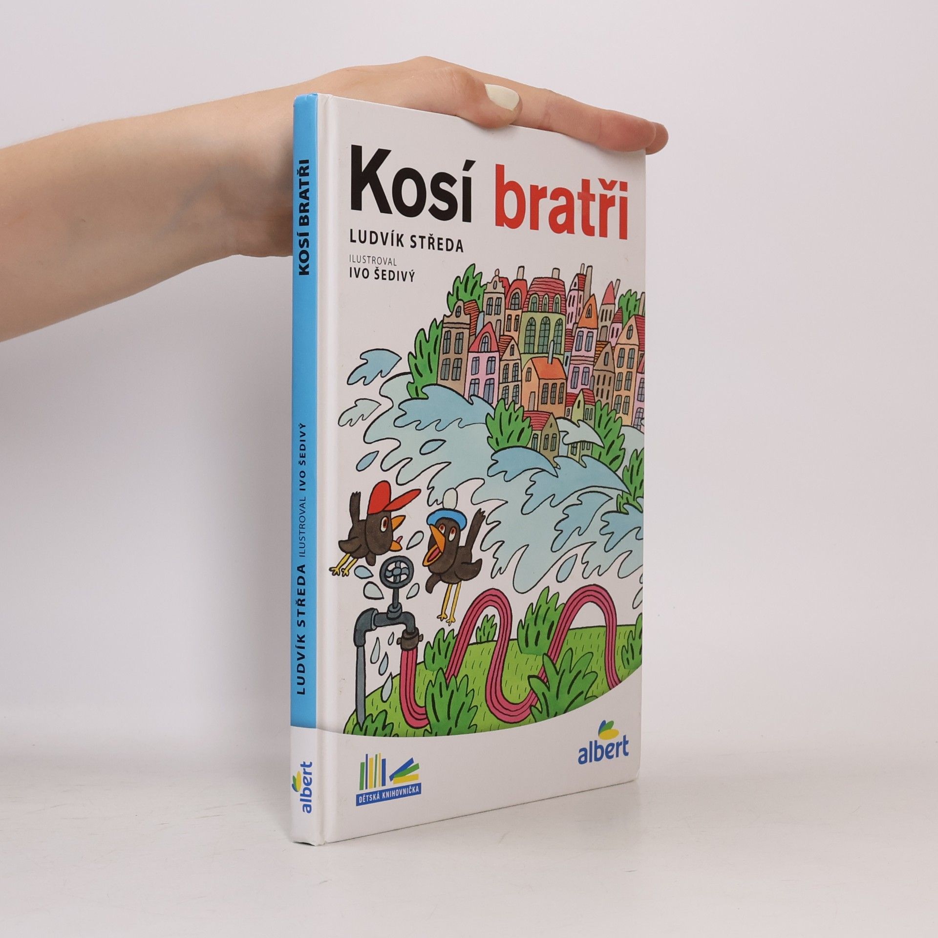 Ludvík Středa Kosí bratři