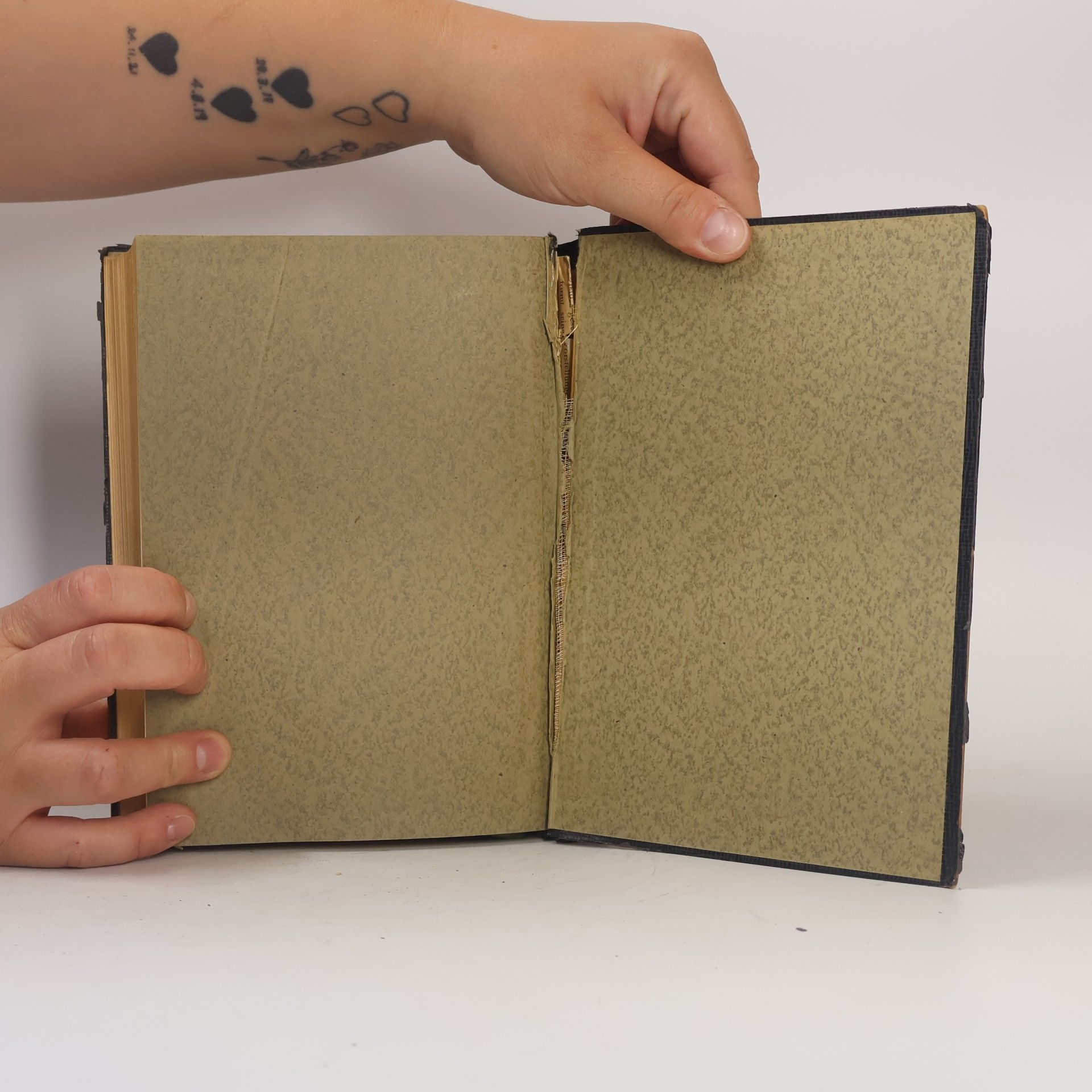 Kolektiv autorů Biblische Hand-Konkordanz