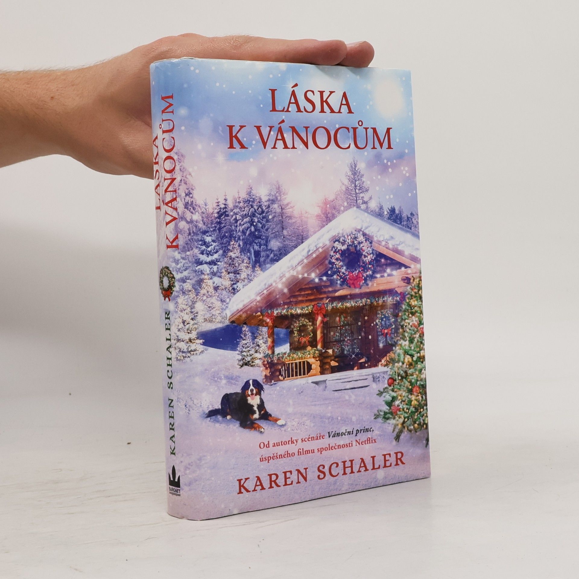 Karen Schaler Láska k Vánocům