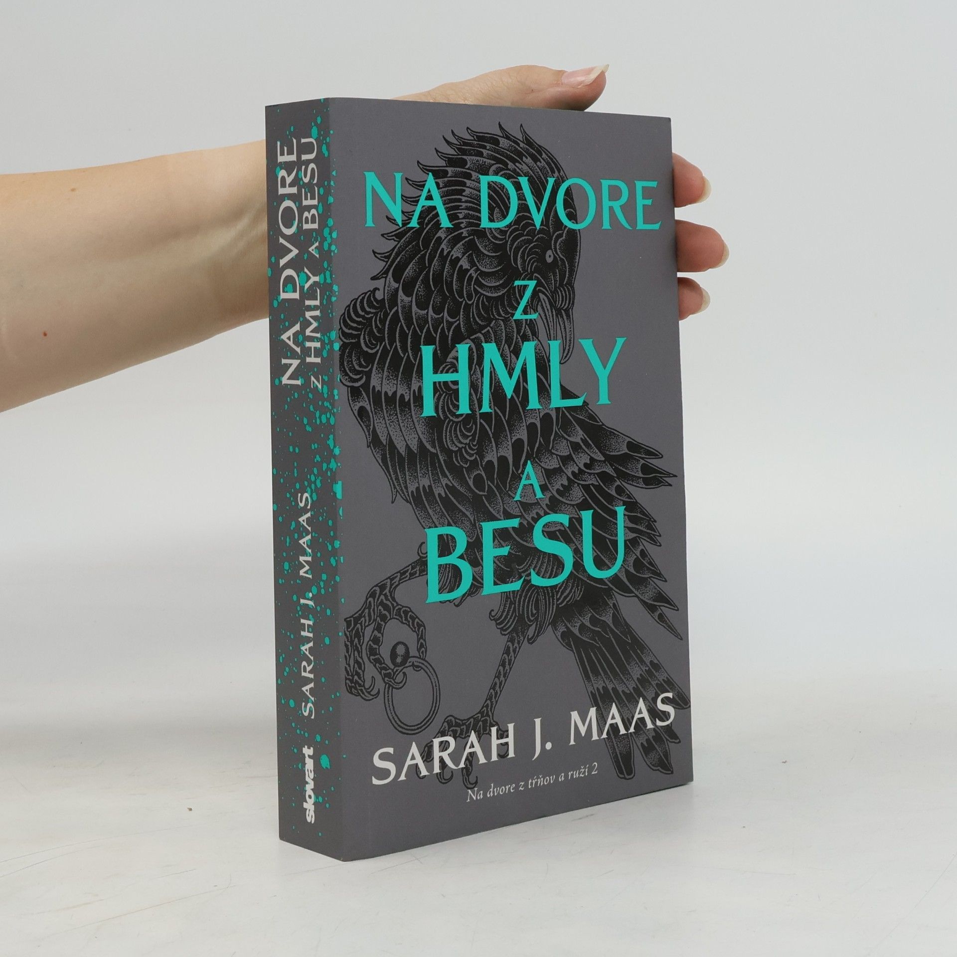 Sarah J. Maas Na dvore z hmly a besu