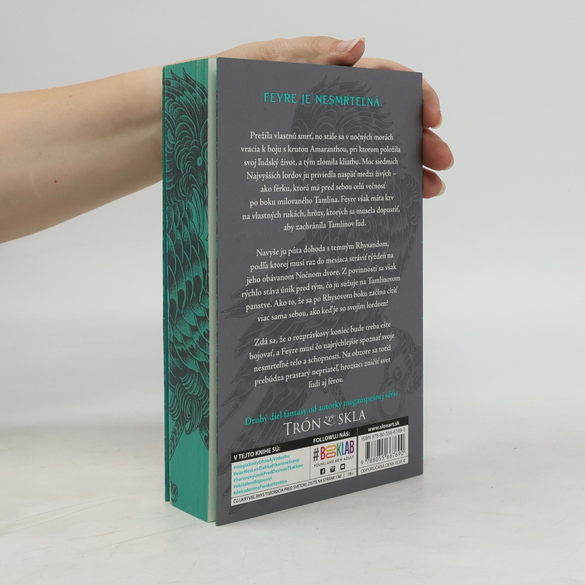Sarah J. Maas Na dvore z hmly a besu