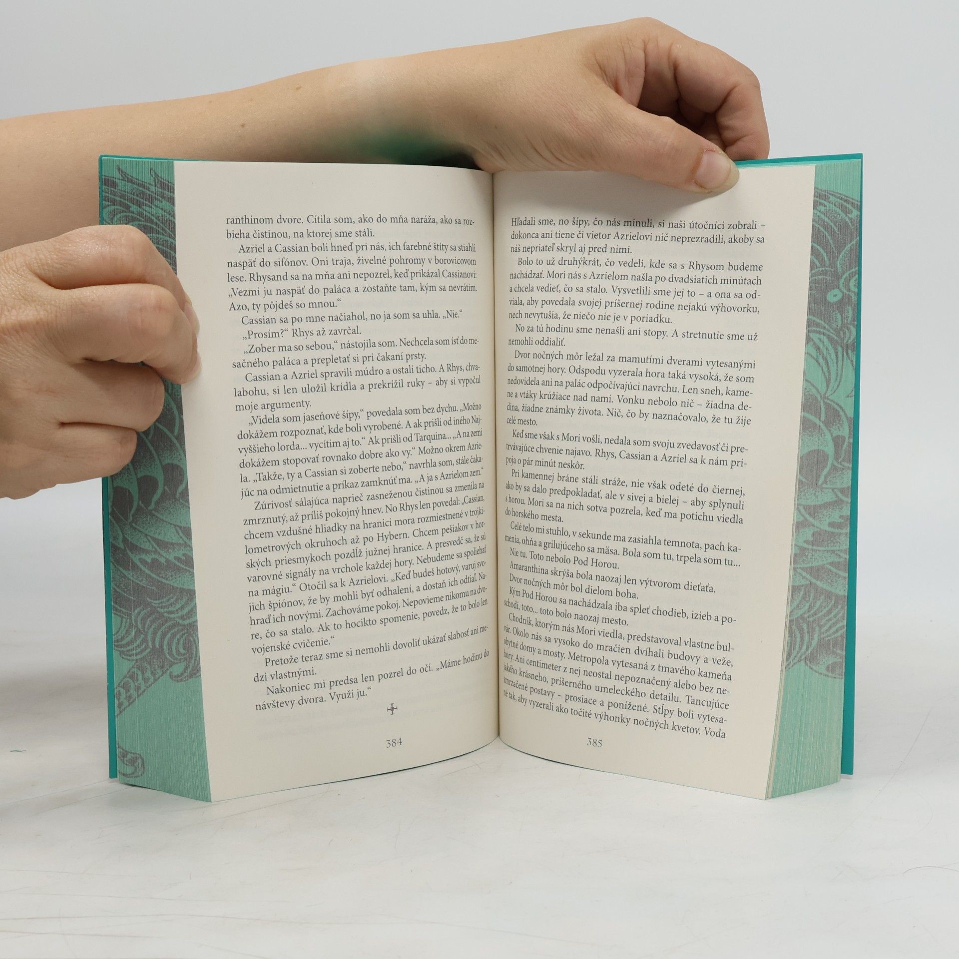 Sarah J. Maas Na dvore z hmly a besu