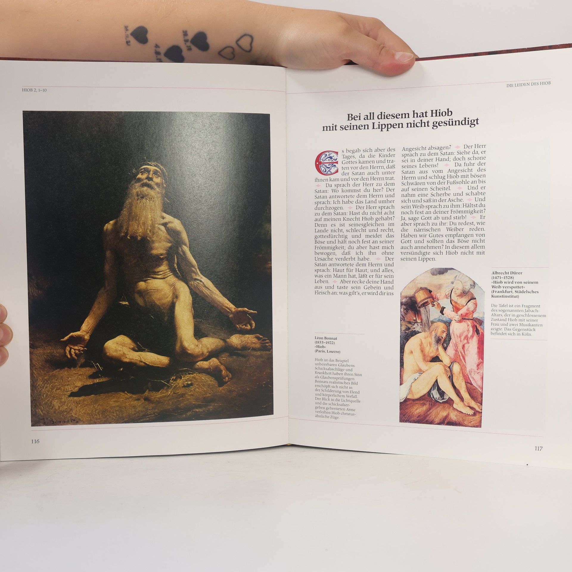 Various authors Die Bibel in Bildern. Schatzkammer der Malerei