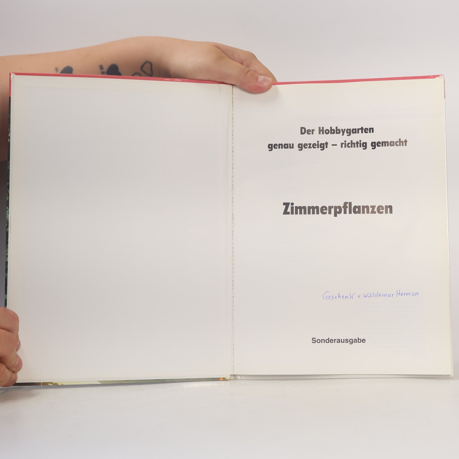 Harry Pötschke Zimmerpflanzen