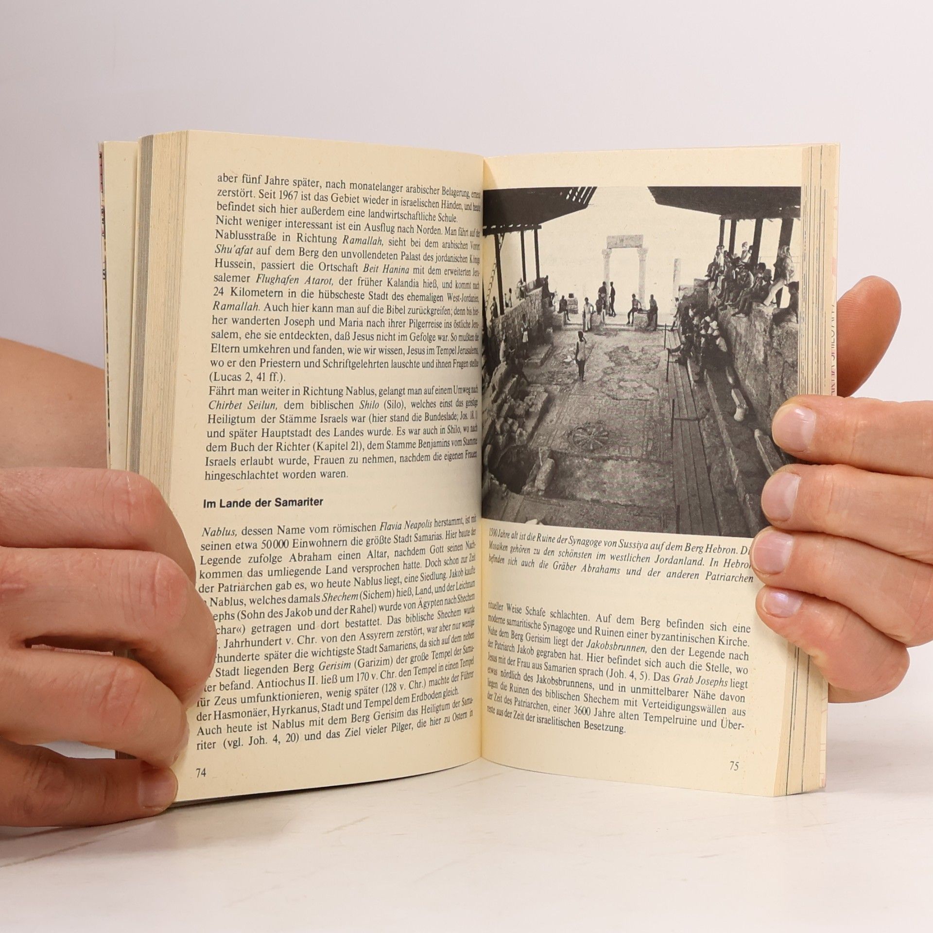 Mark Lippold Israel kennen und lieben