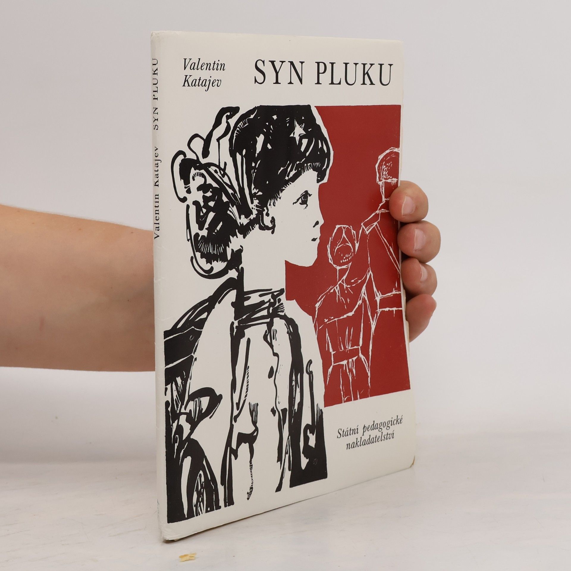 Valentin Petrovič Katajev Syn pluku