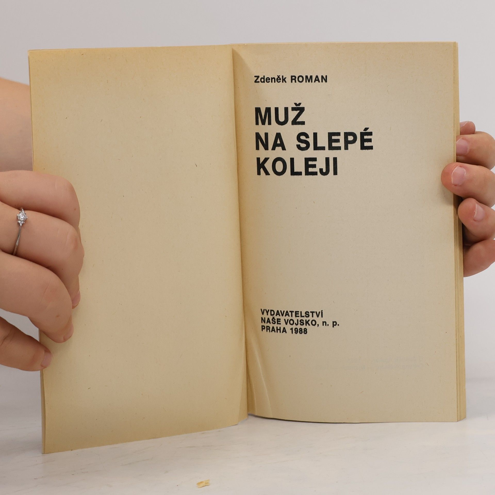 Zdeněk Roman Muž na slepé koleji