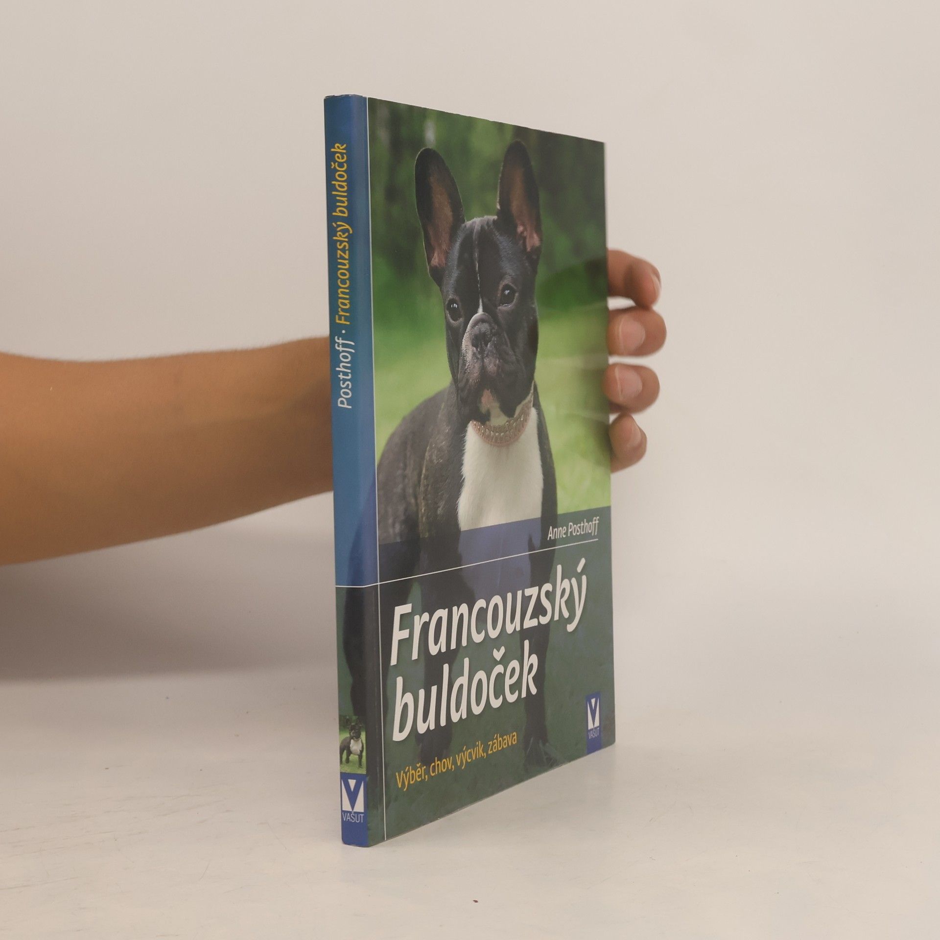 Francouzský buldoček. Výběr, chov, výcvik, zábava