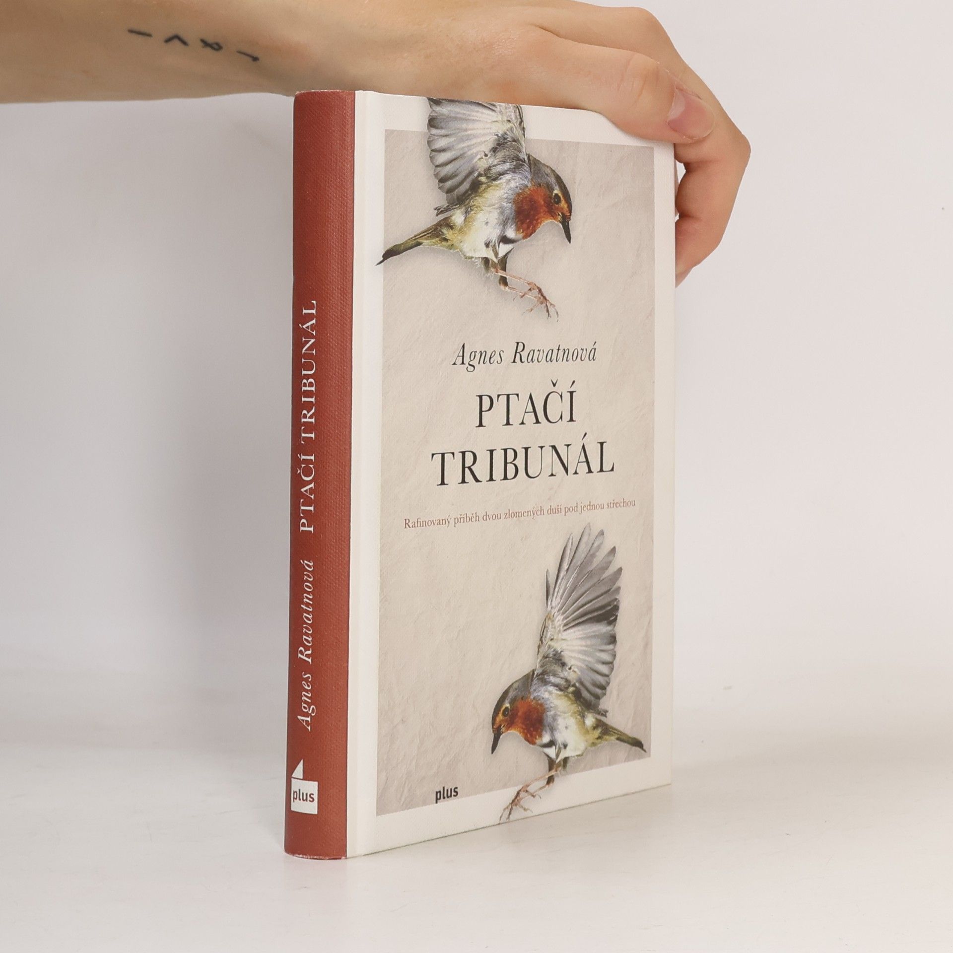 Agnes Ravatn Ptačí tribunál