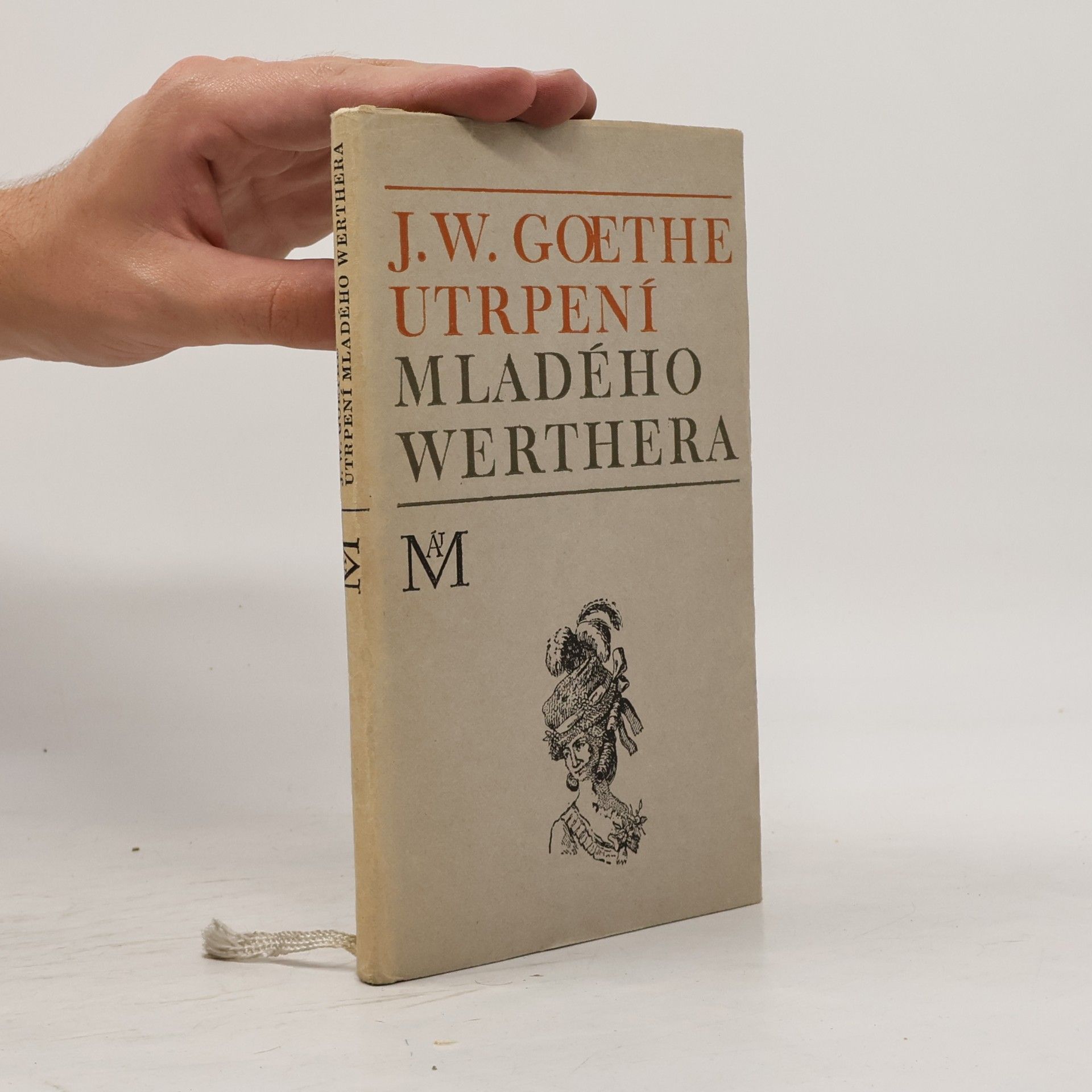 Johann Wolfgang von Goethe Utrpení mladého Werthera